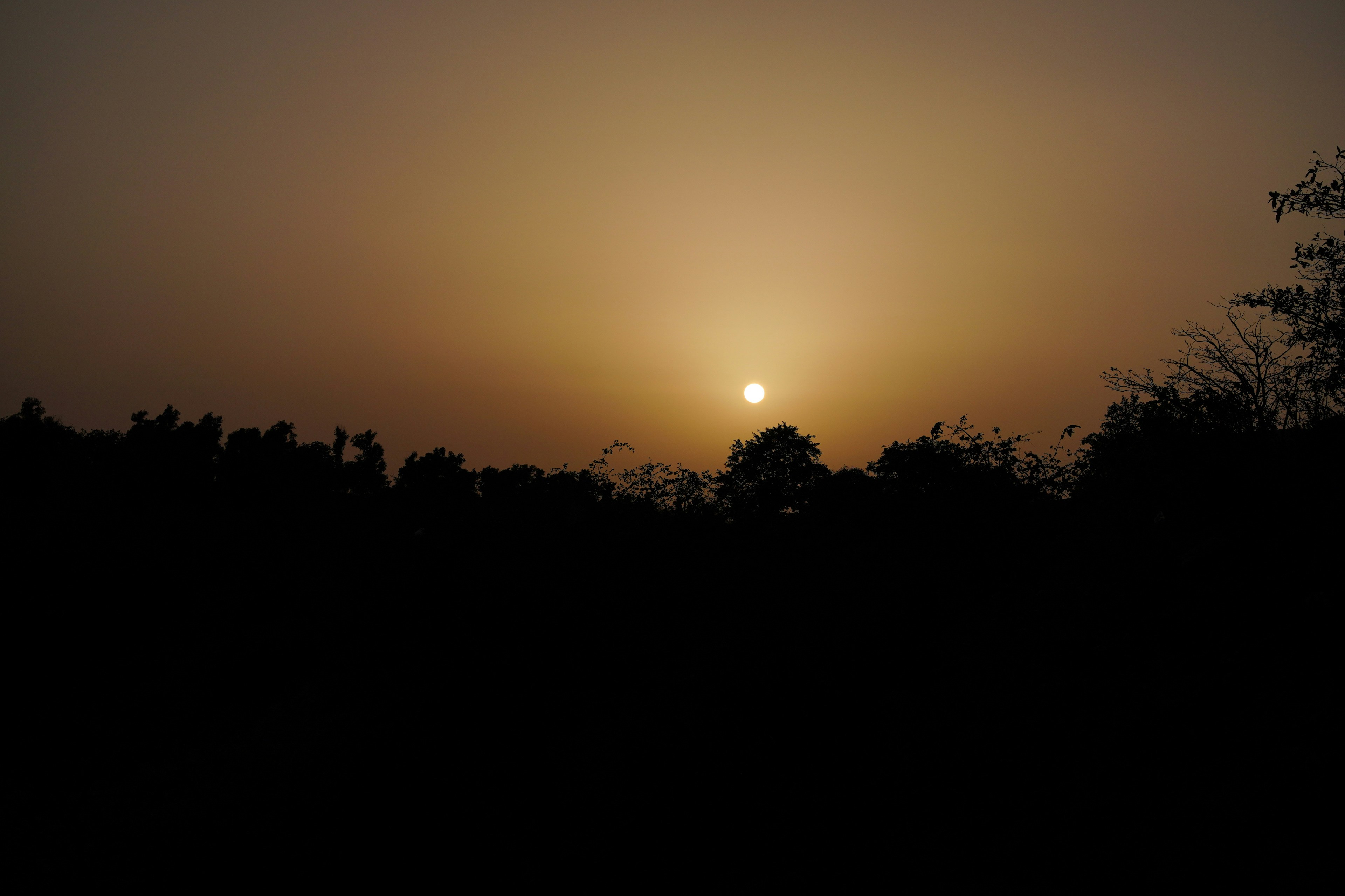 Photo by vaibhav_surana
