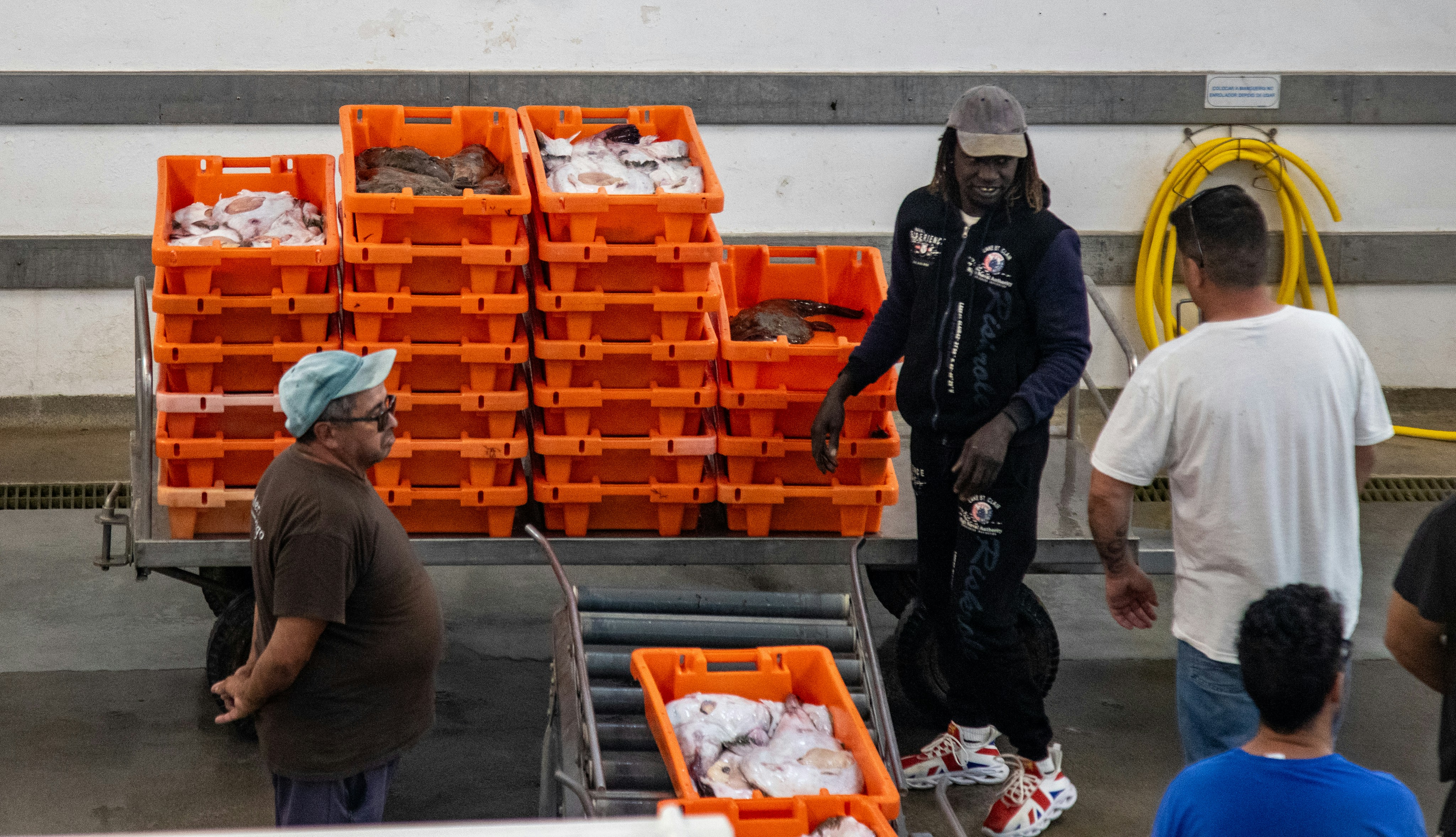 Men working with stacked orange crates of fish.