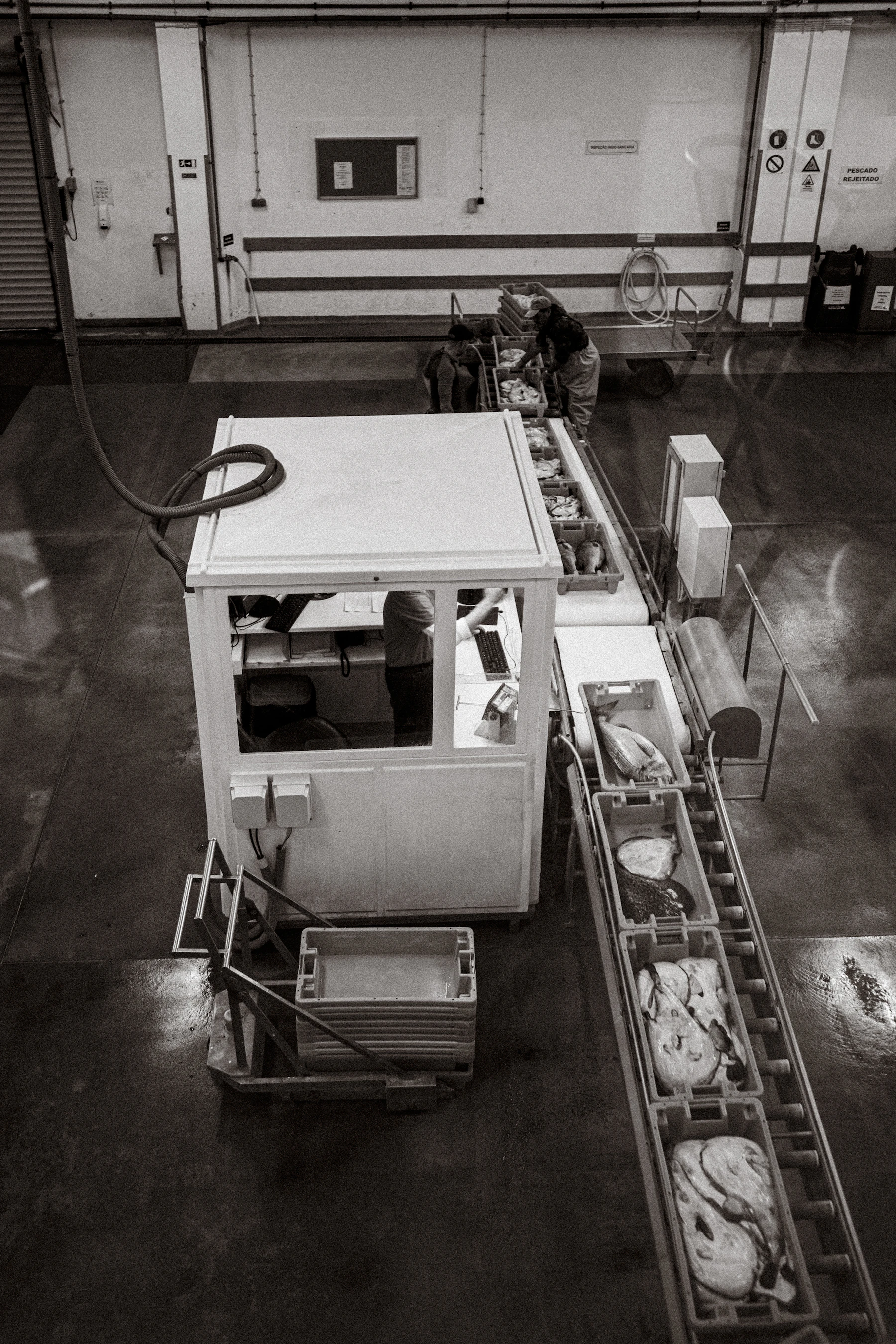 Worker operating an industrial conveyor line