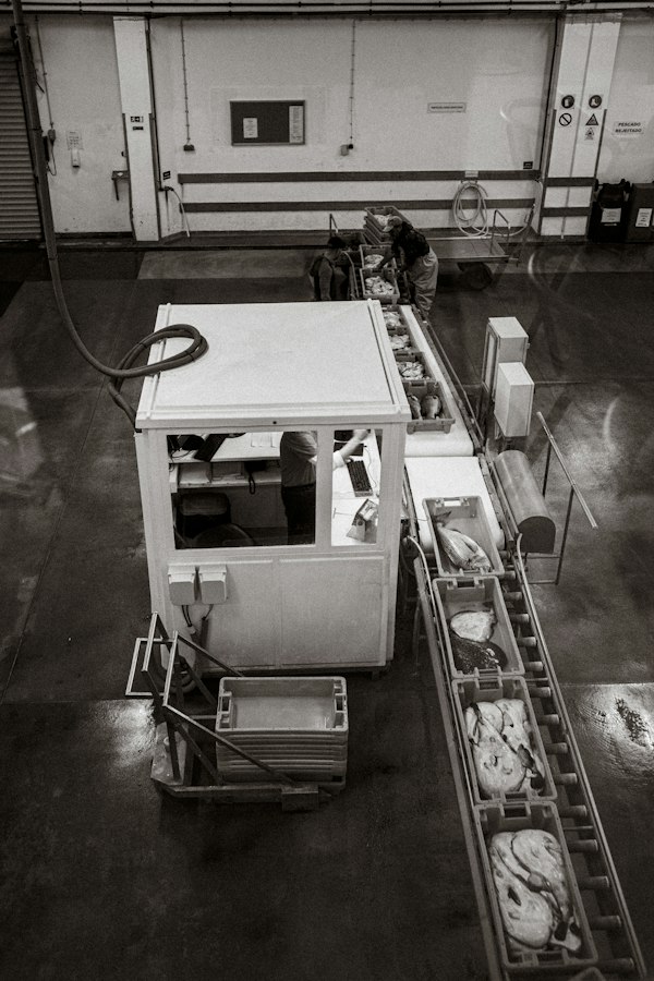 Operario en la banda transportadora de una línea de empaque, contexto del SEO para fabricantes de envase y embalaje industrial