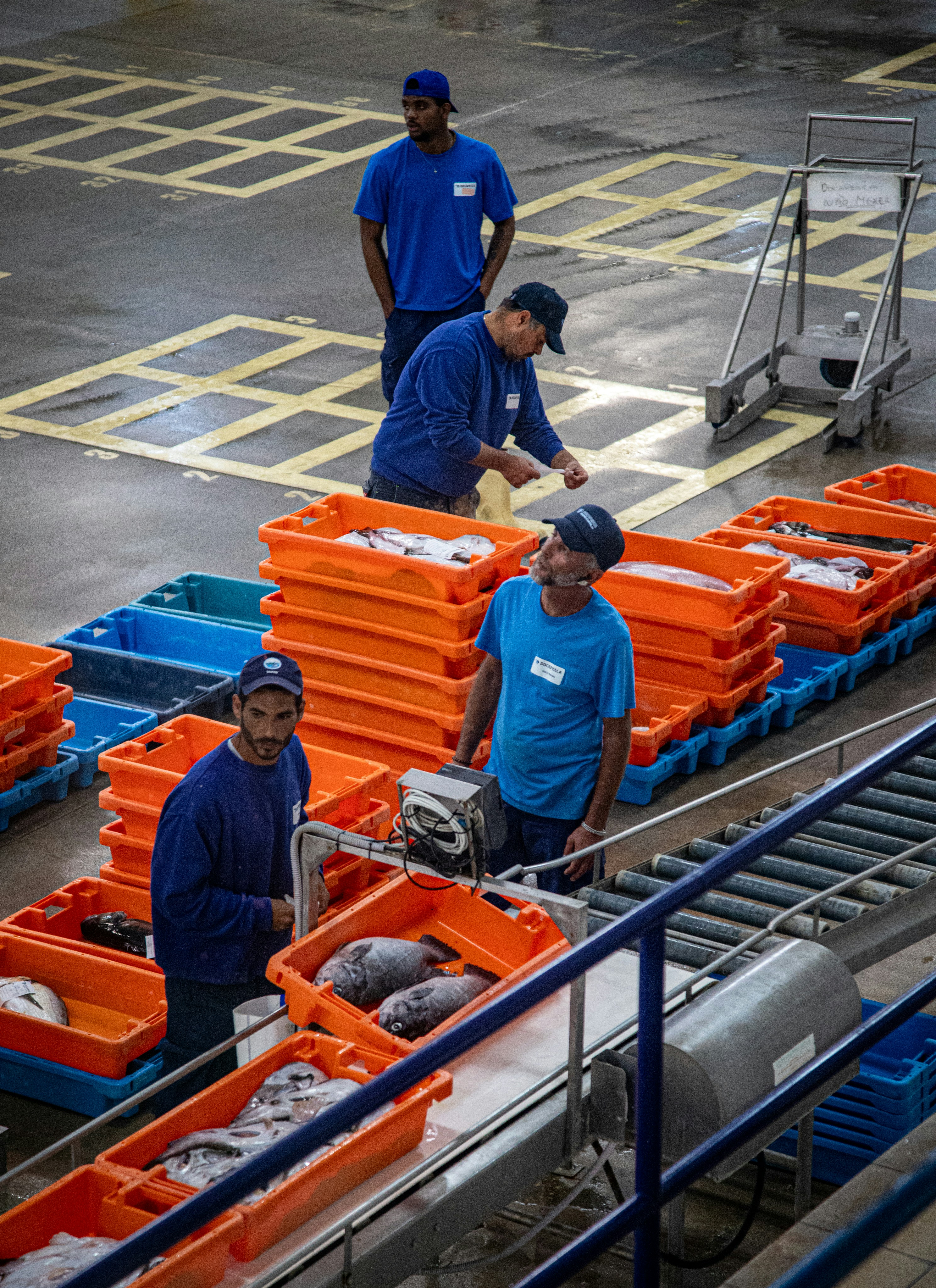 Men in blue uniforms sorting fish in orange crates. photo – Free ...