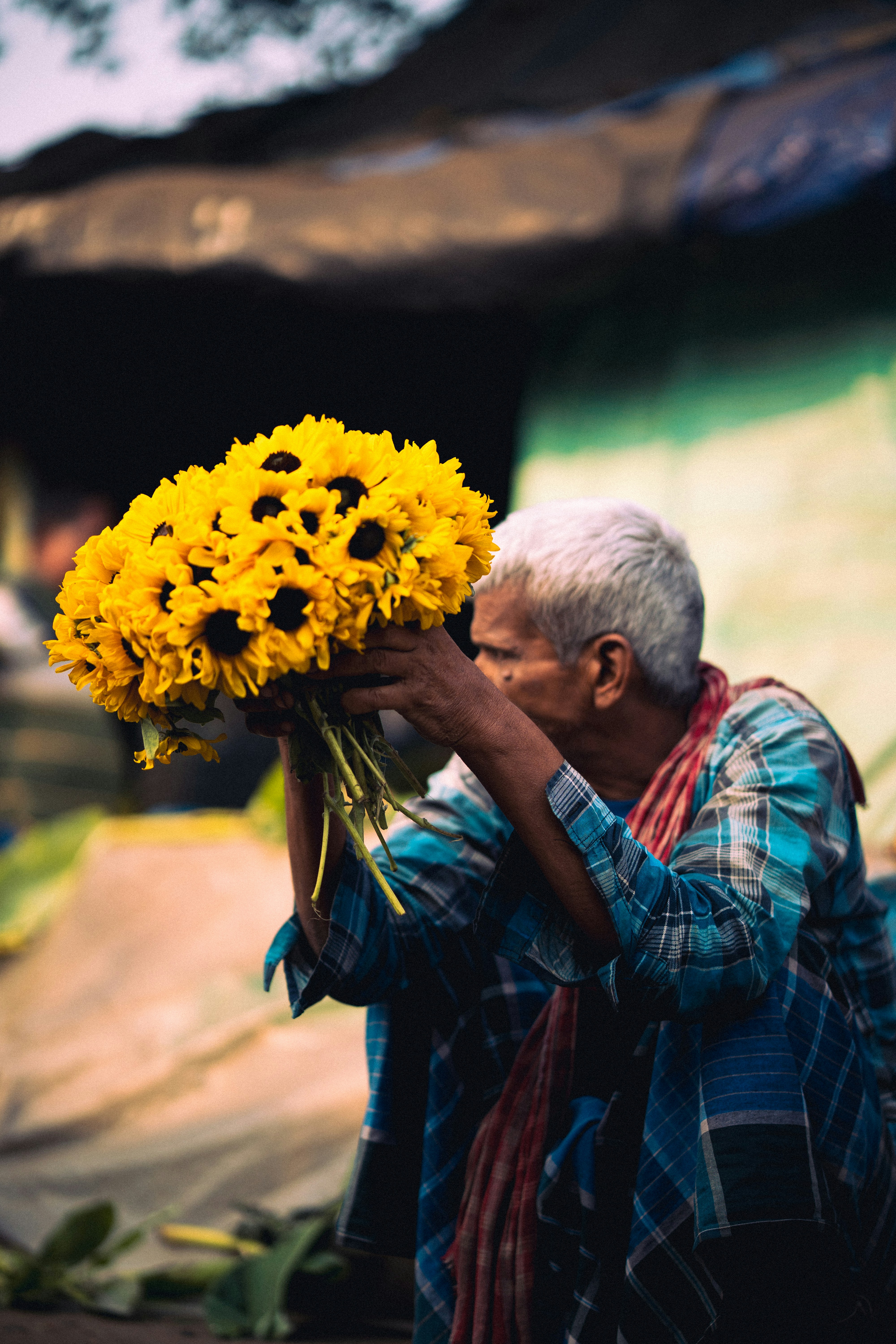 Photo by subhashis