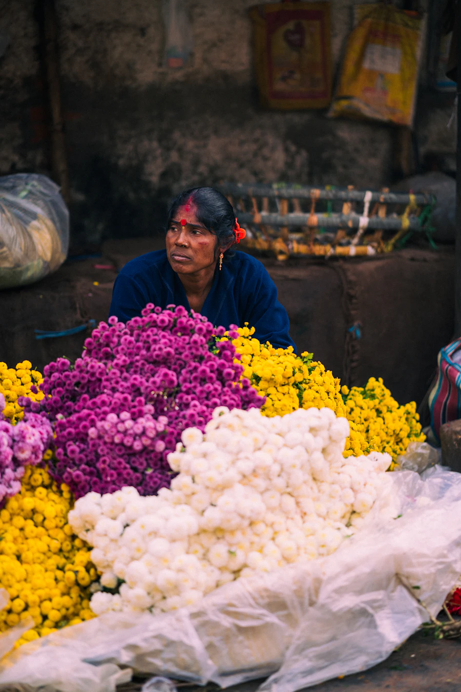 Mohit Sinha · work 3