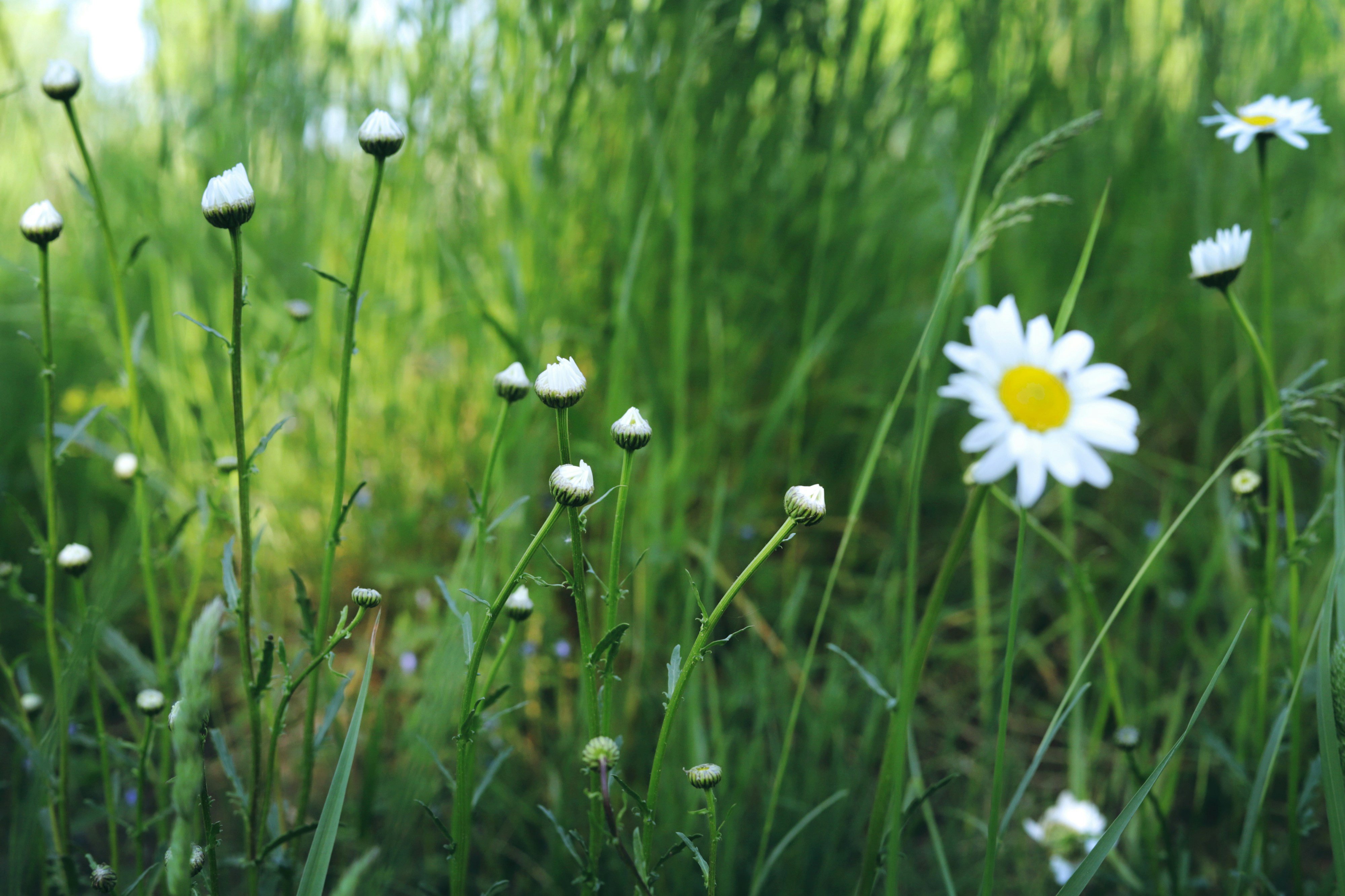 Photo by white_on_white