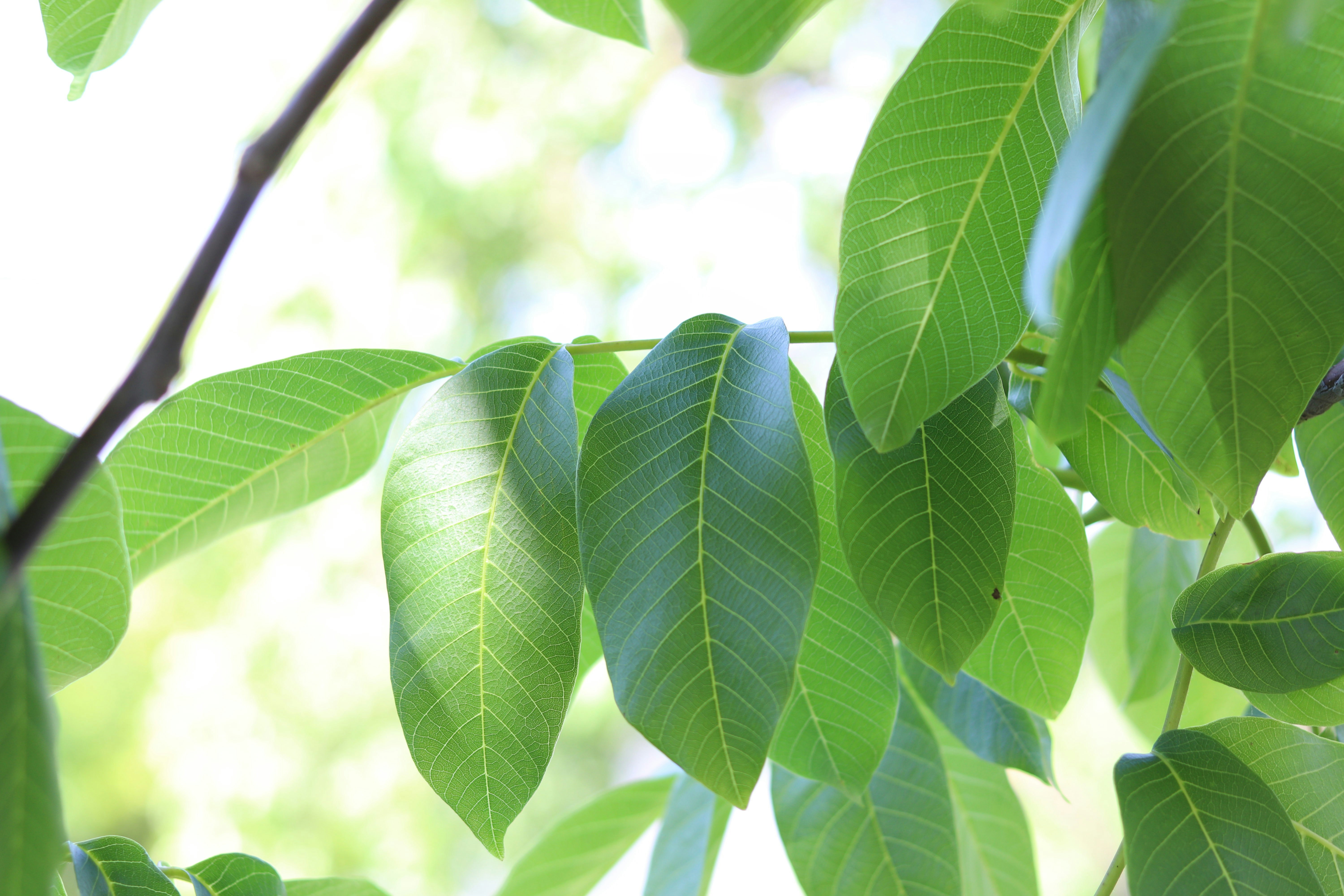 Photo by fotografialuivlad