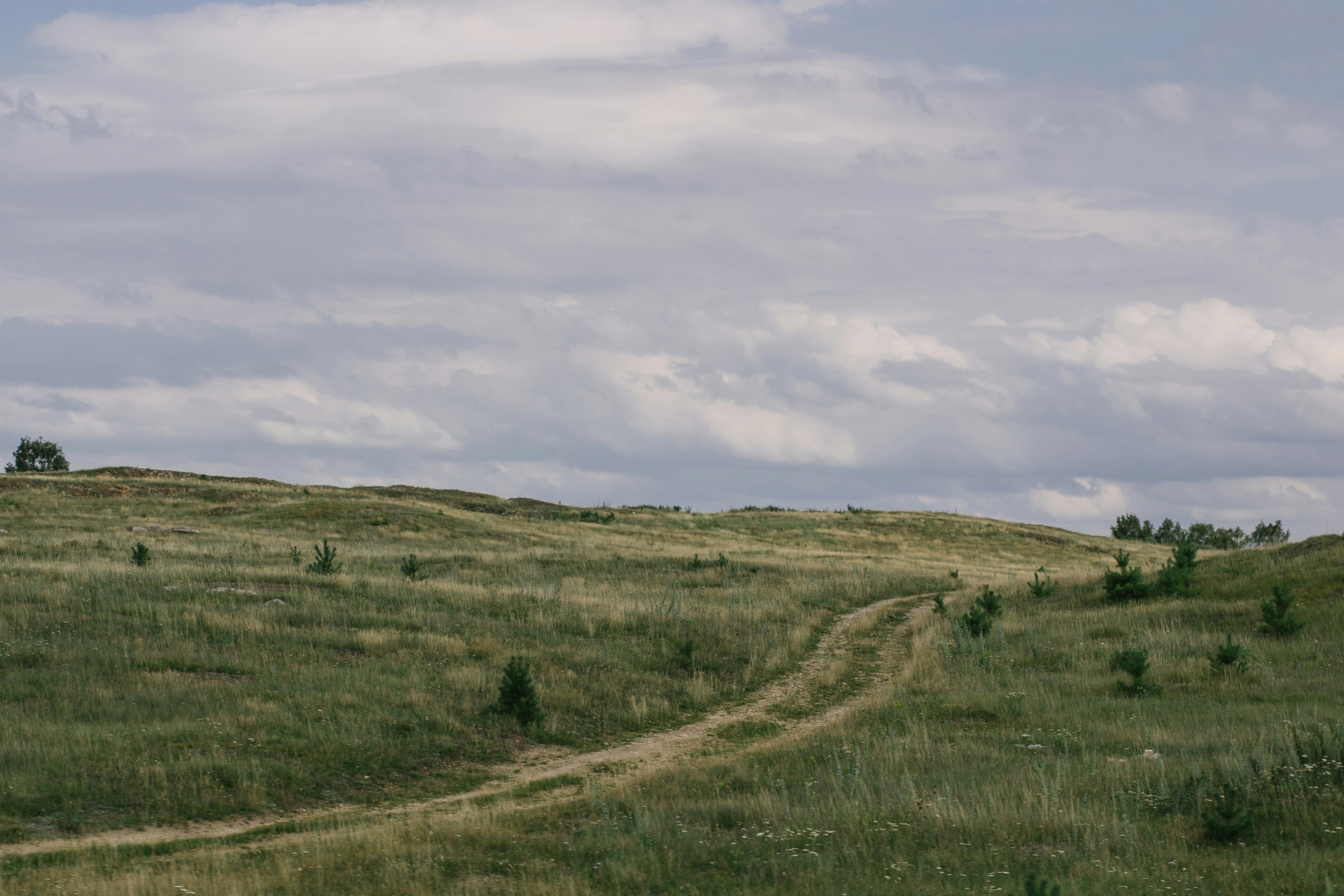 Photo by alkirikov