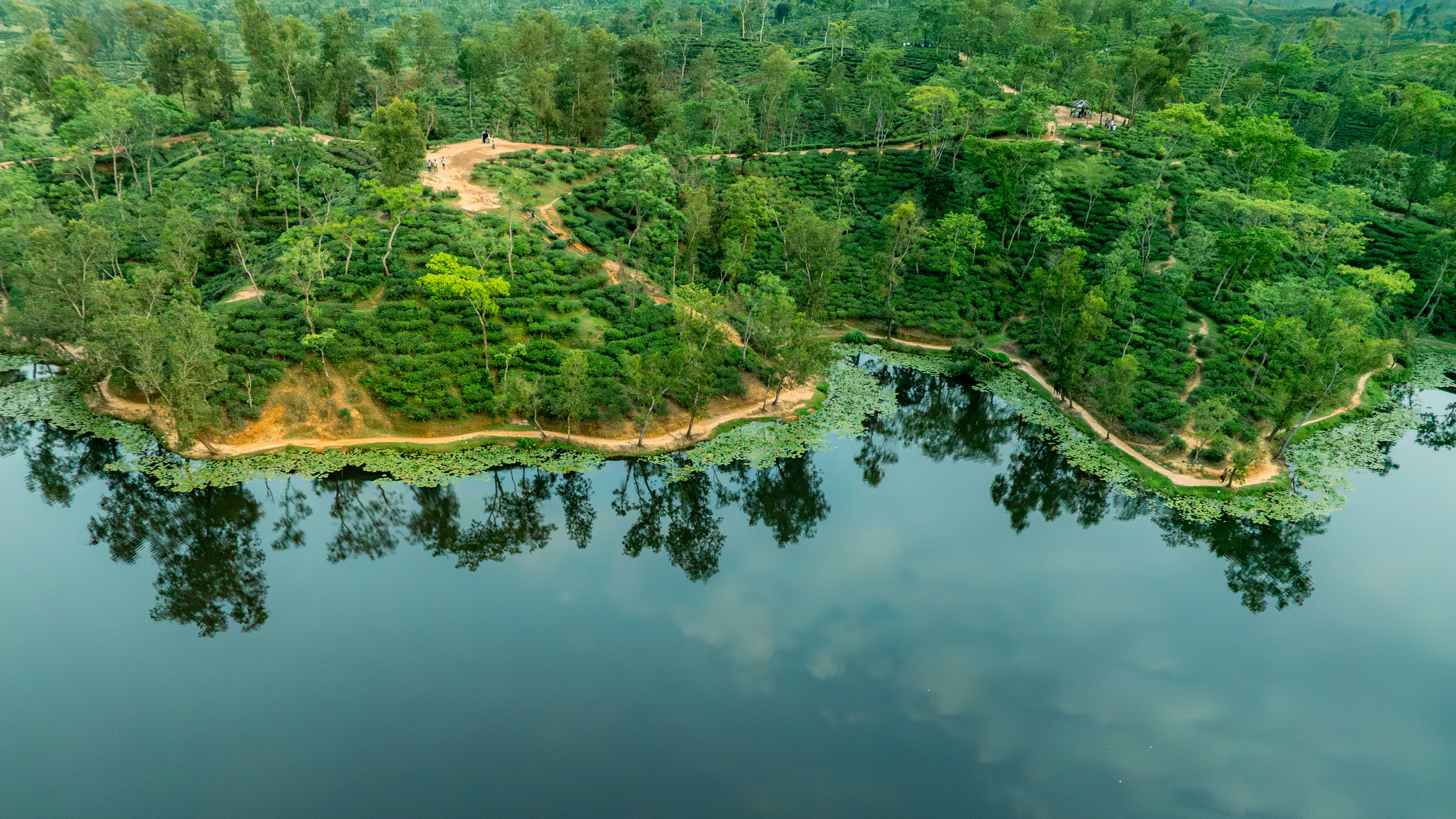 Hutan hijau subur berbatasan dengan danau yang tenang dengan pantulan.
