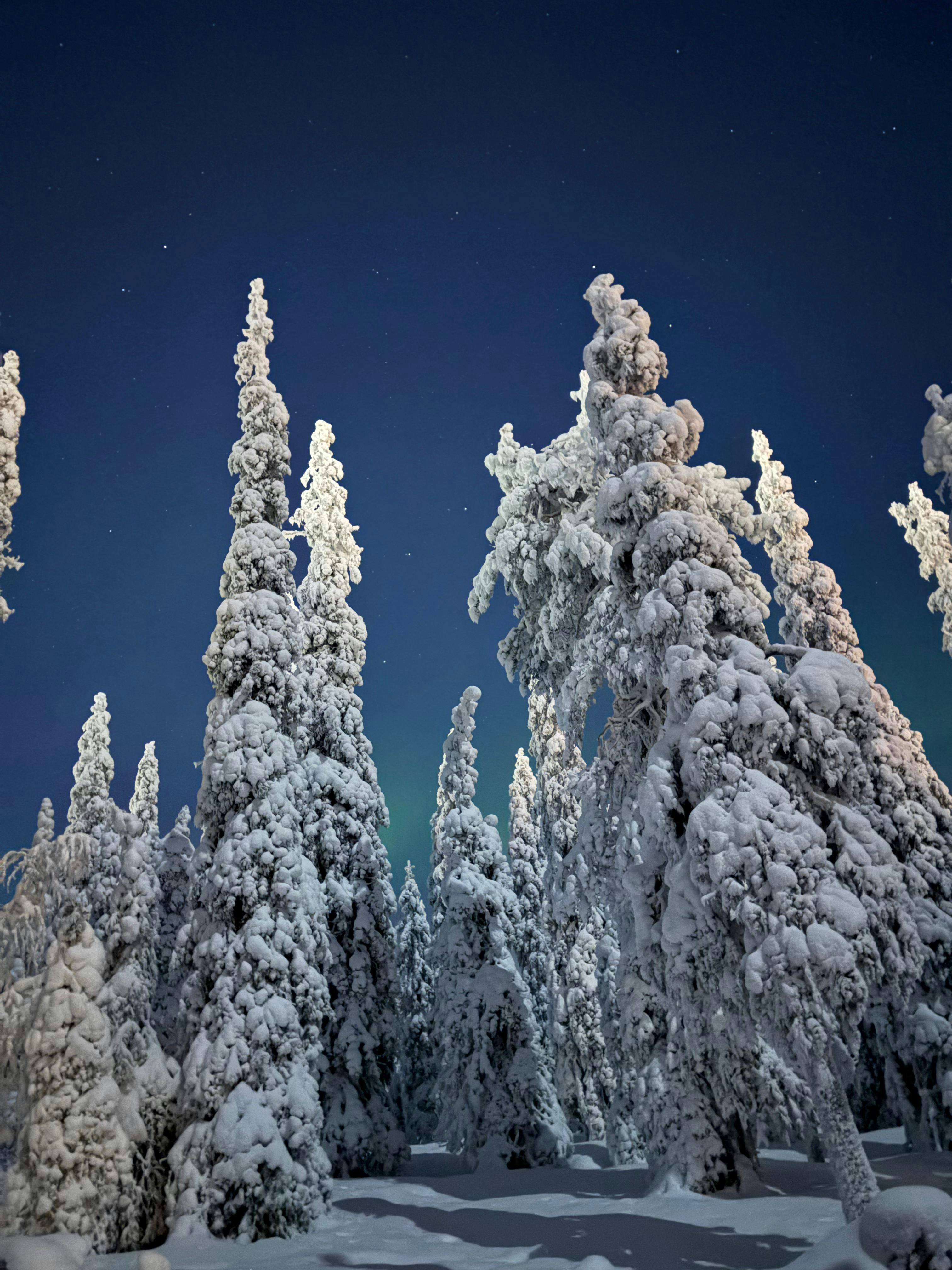 Photo by adnantokgoz