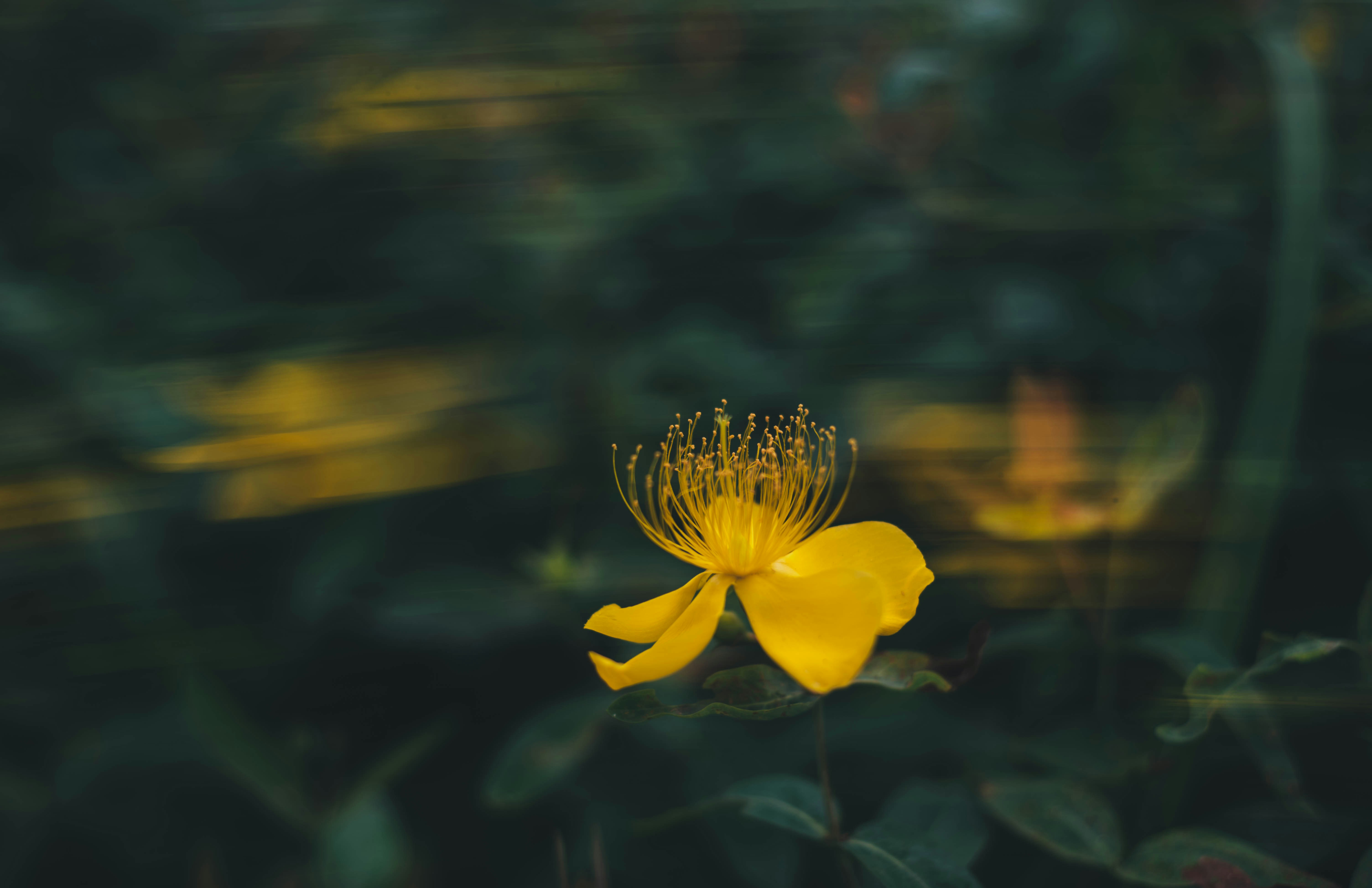 Photo by lf900205