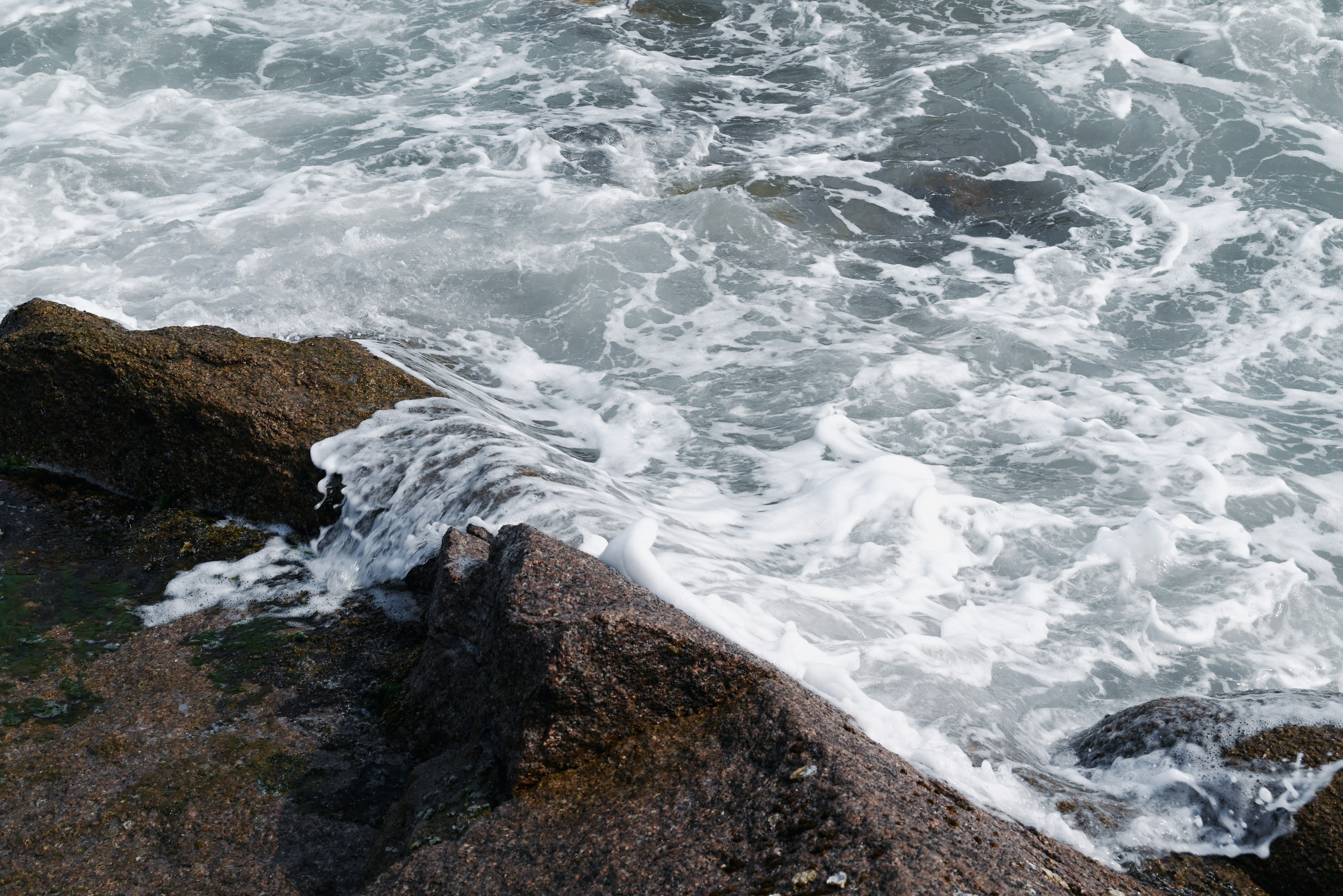Photo by aukvane