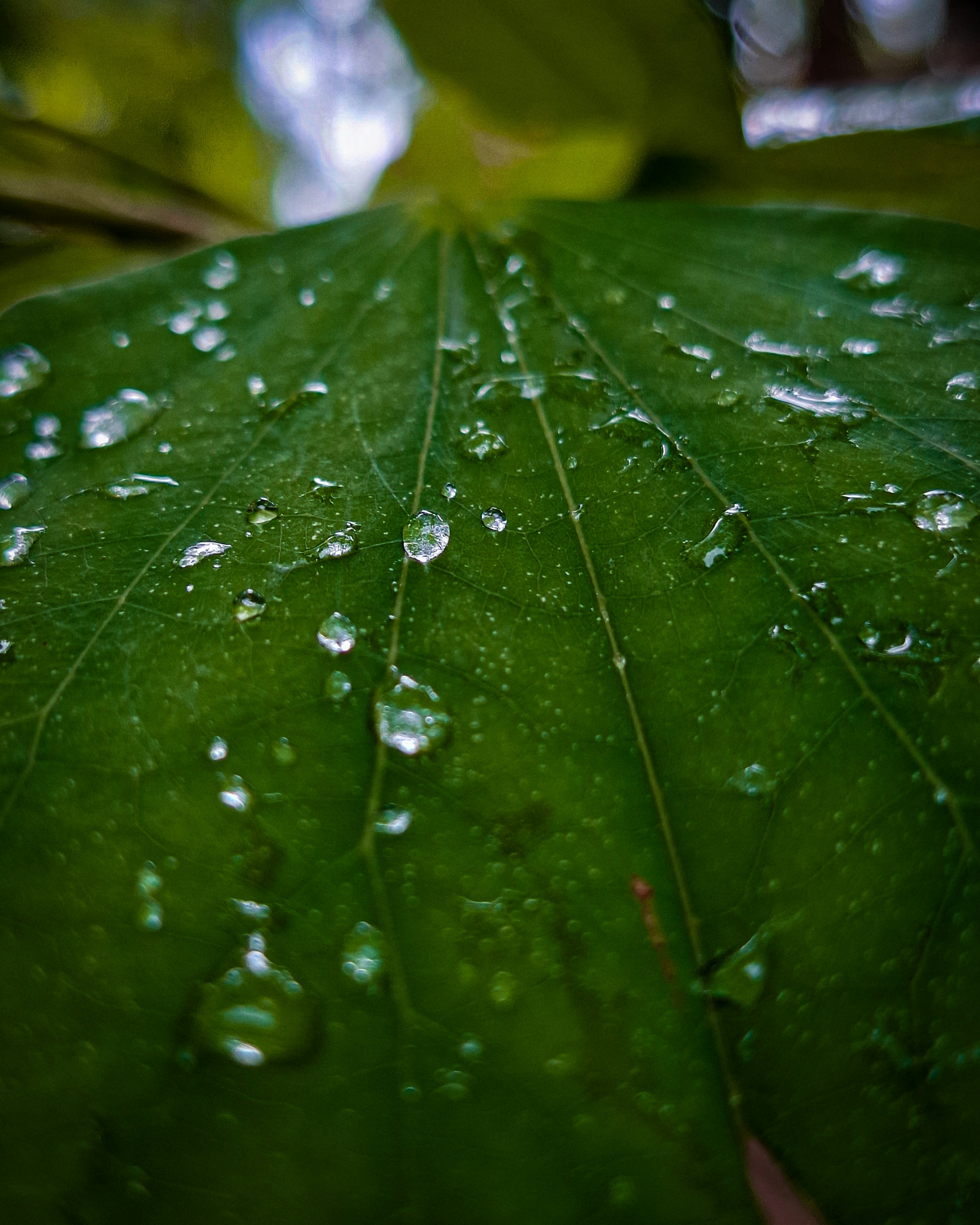 Photo by aadhu119