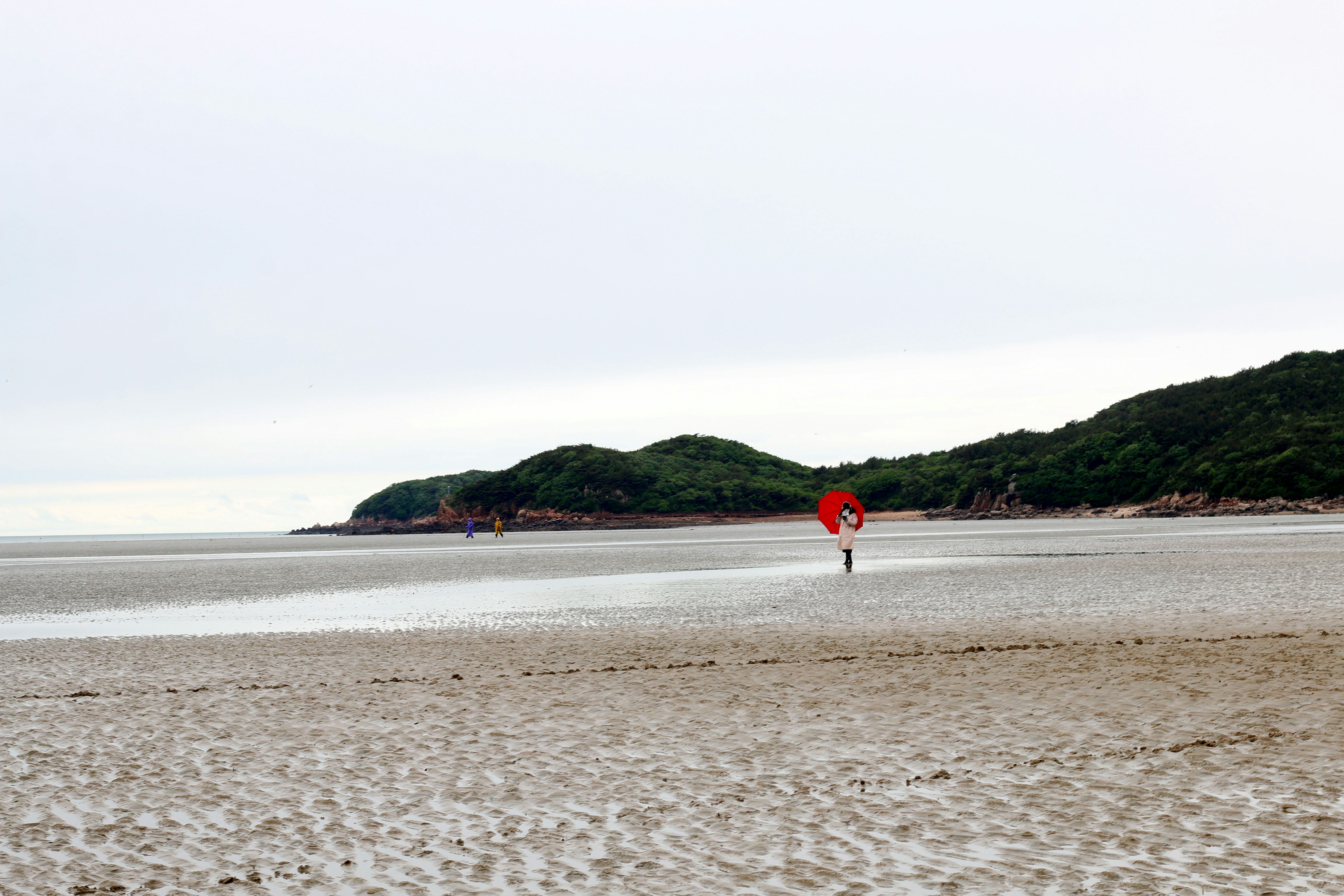 Red heart on sandy tidal flats with distant green hills