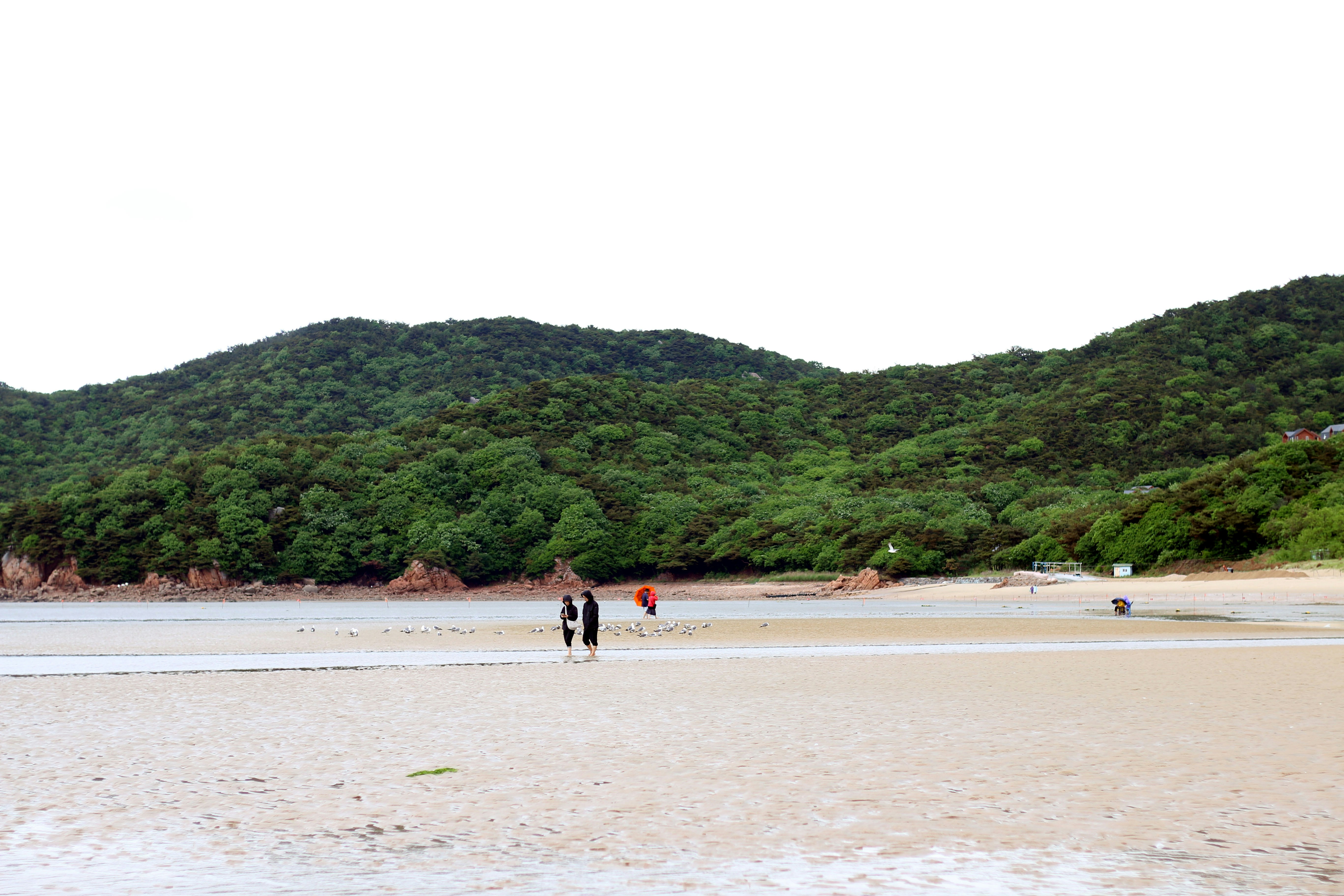 People walking on a wide sandy beach with green hills.