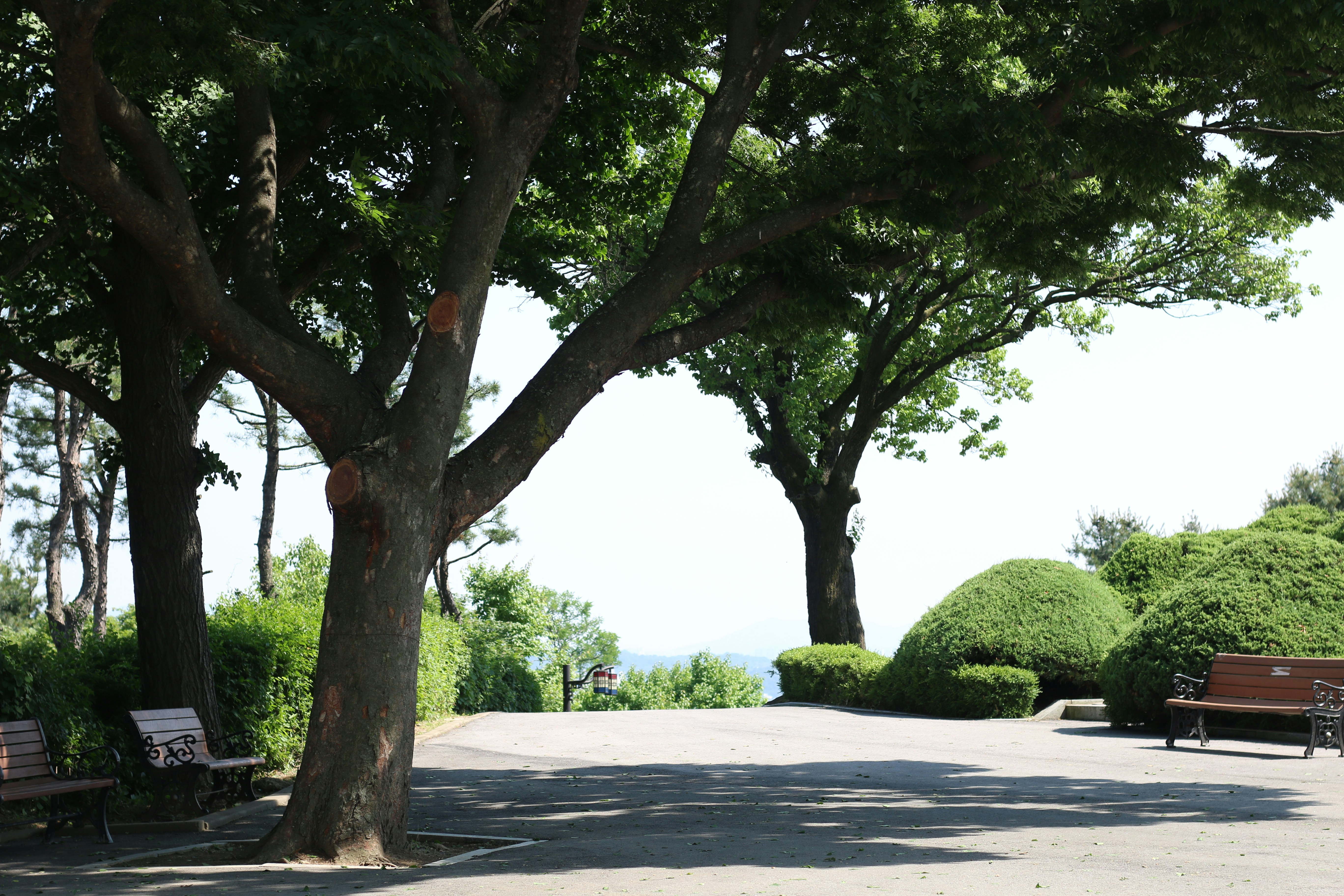Photo by chulho