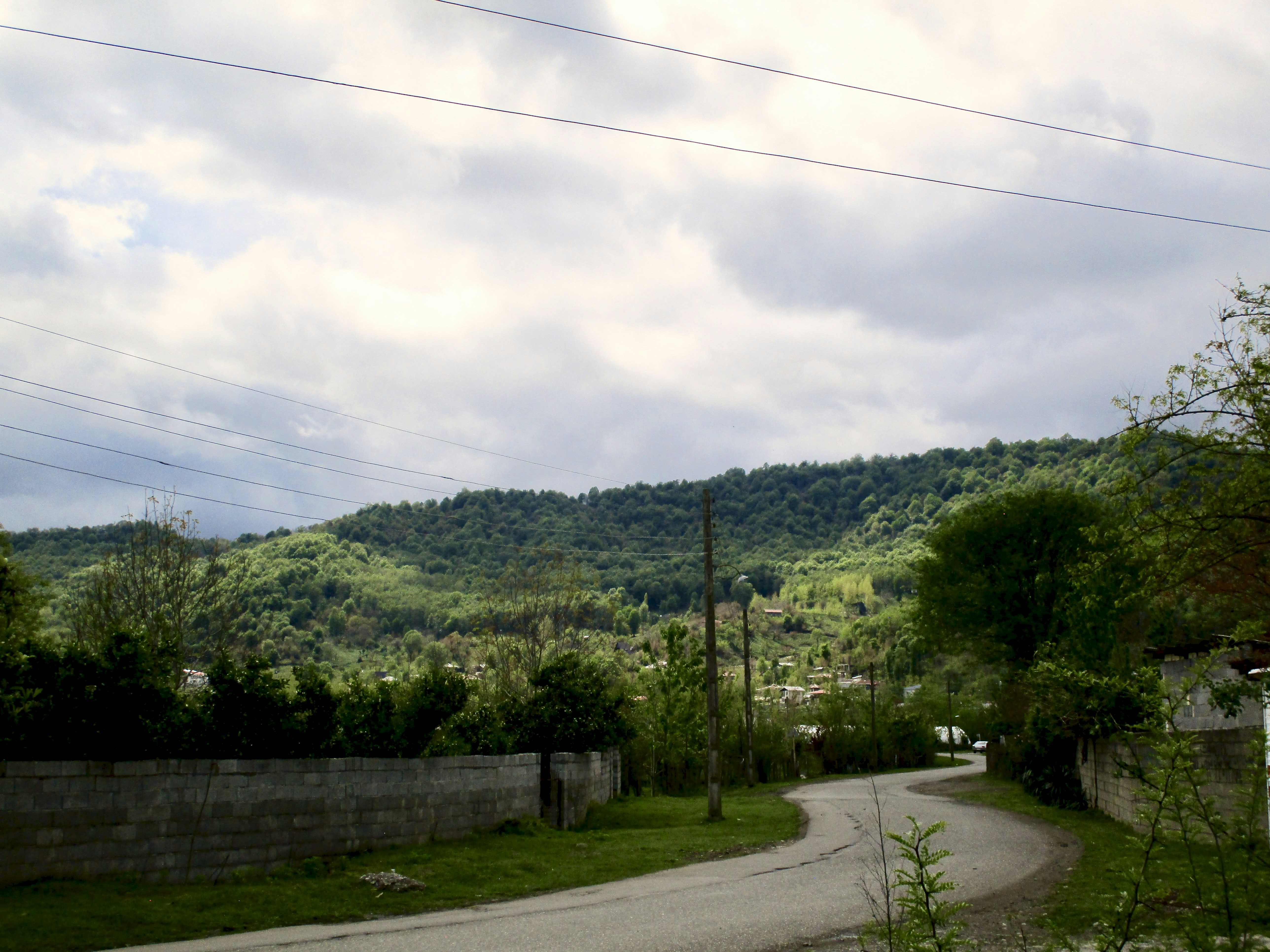 Photo by zahraahmadpari