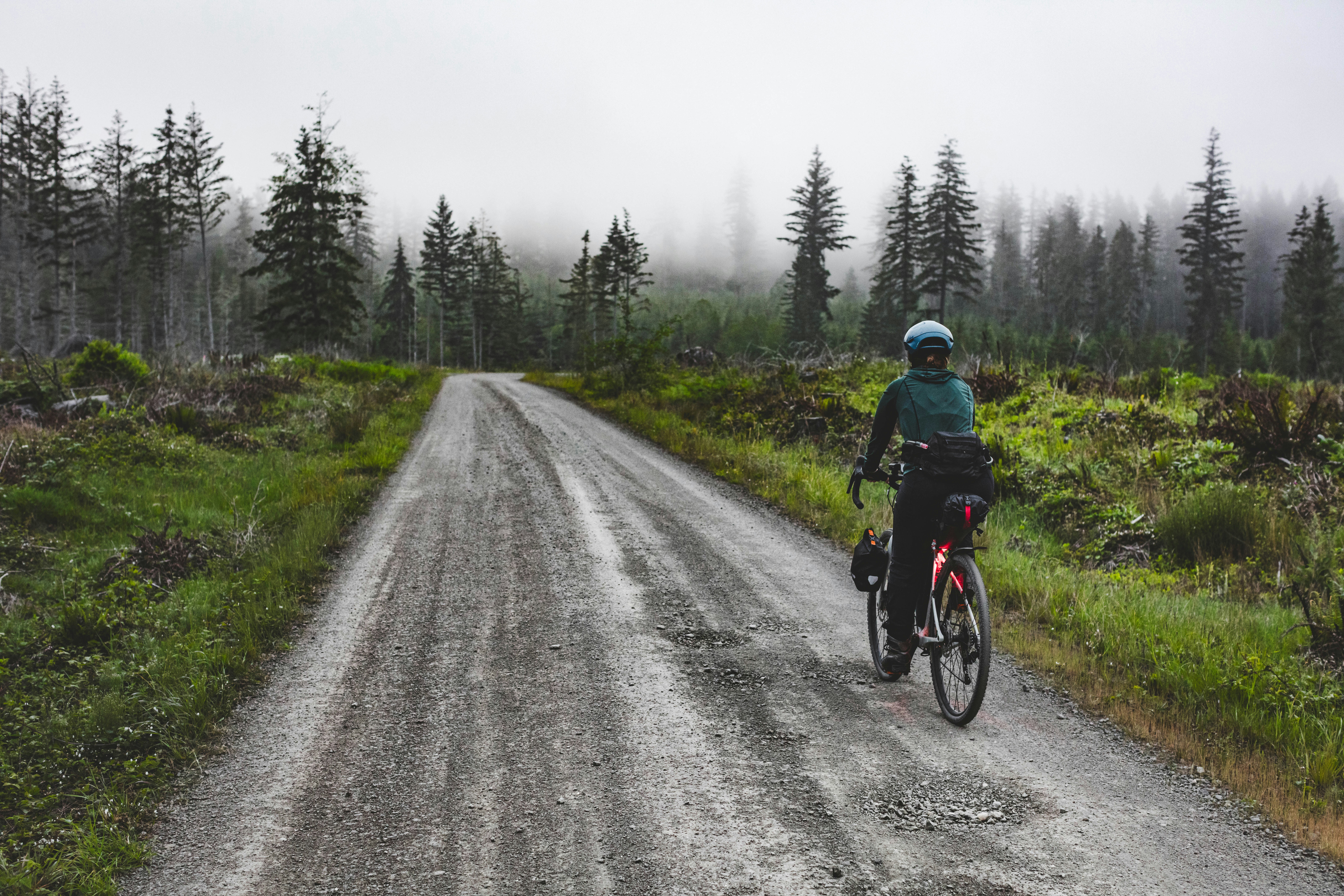 Bikepacker rides on a foggy gravel road through evergreen forest.