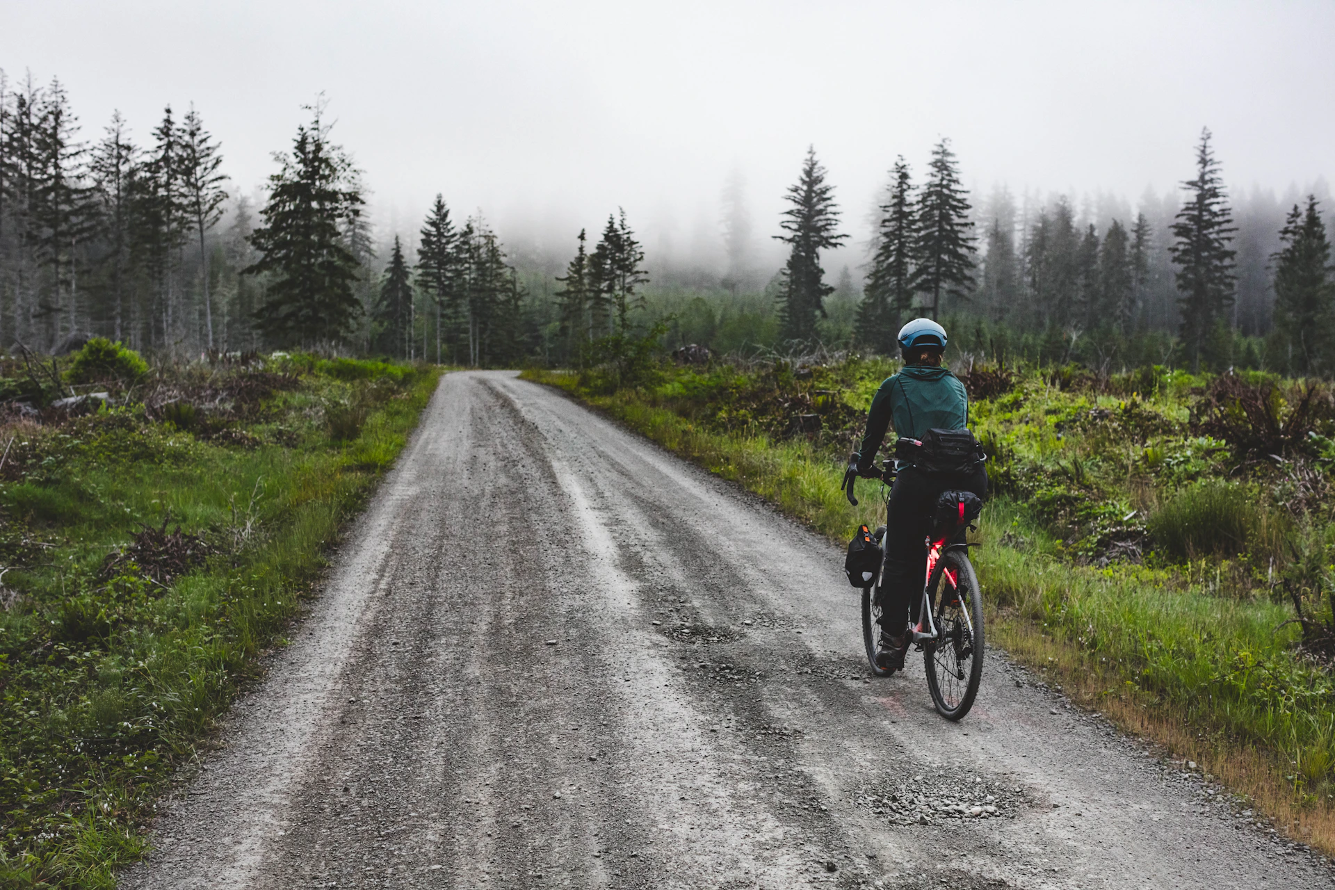Bikepacker rides on a foggy gravel road through evergreen forest.