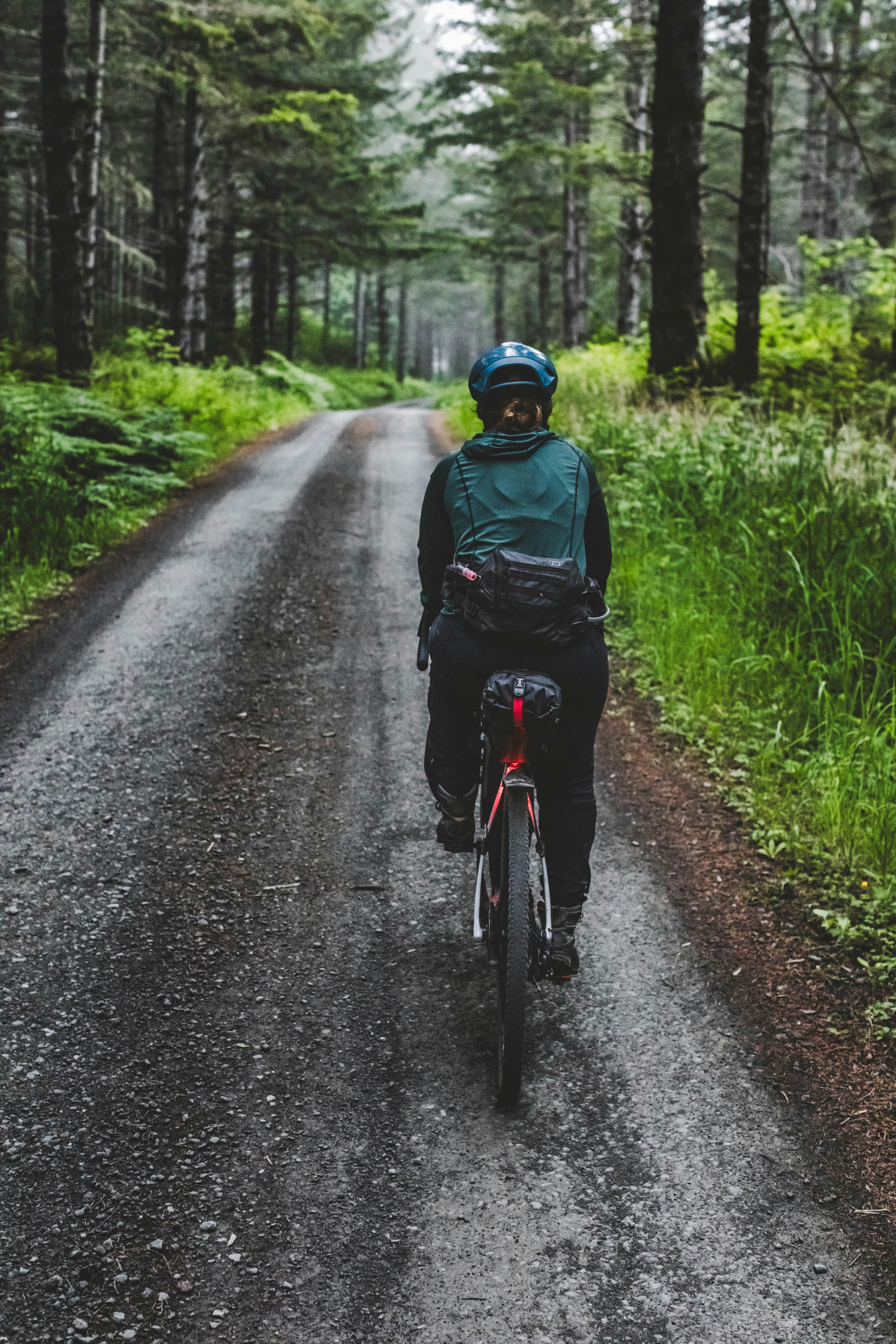 A person rides a bicycle down a tree-lined forest path.