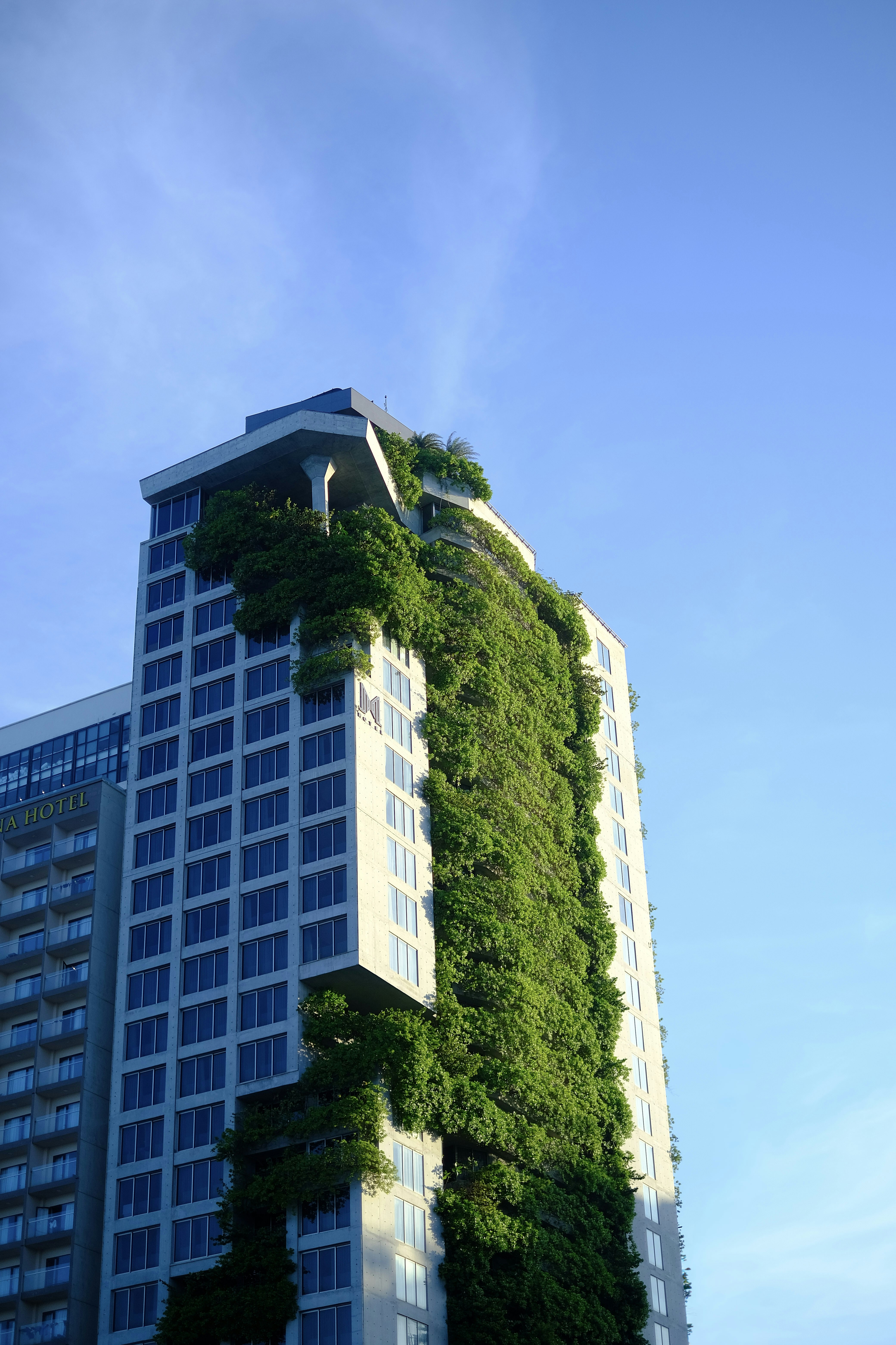 Tall building with green foliage growing on its facade.