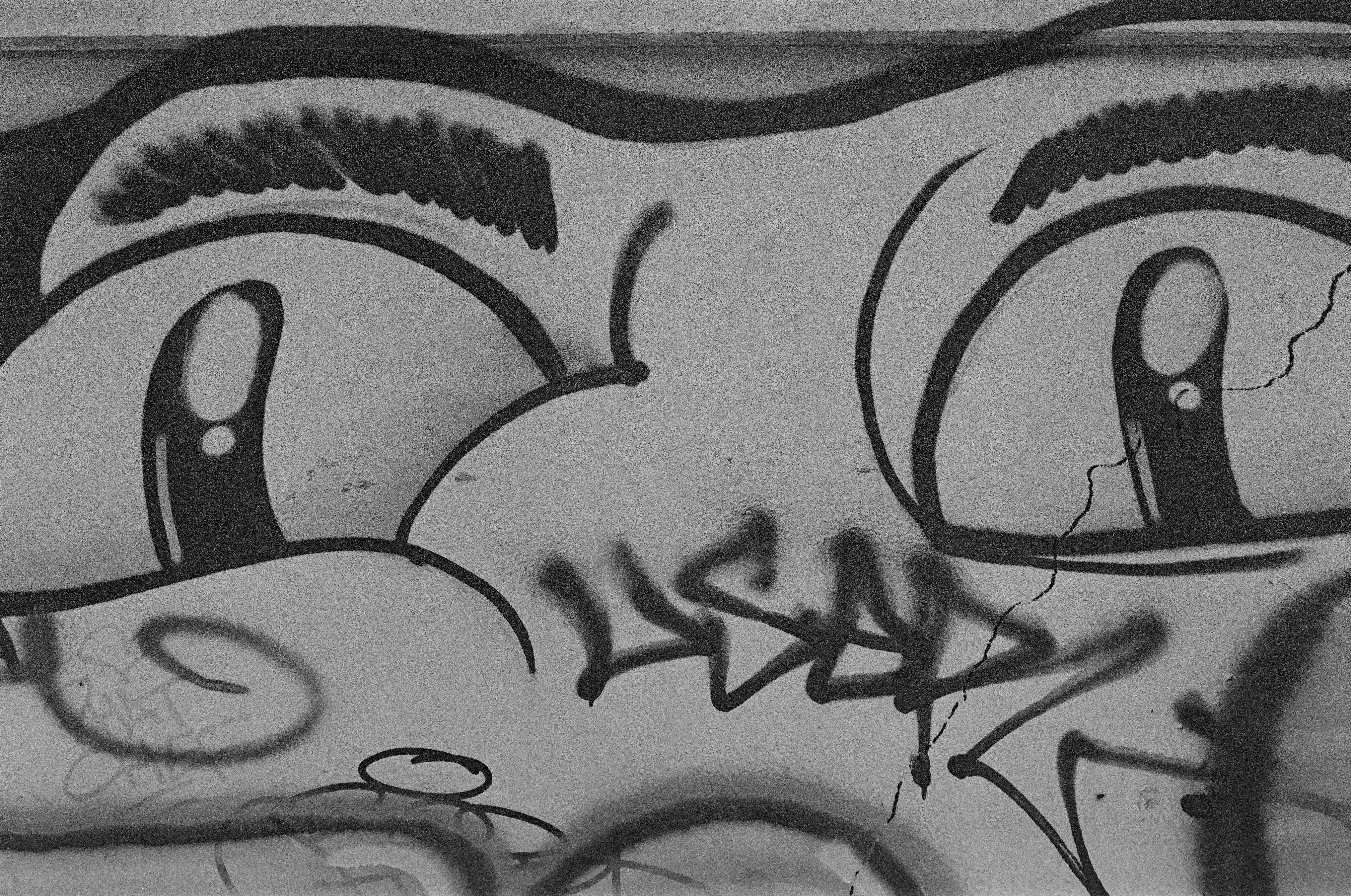 Photo by bruceb_uk