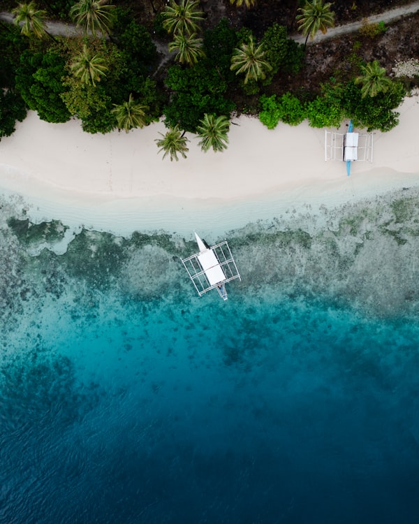 tropical beach