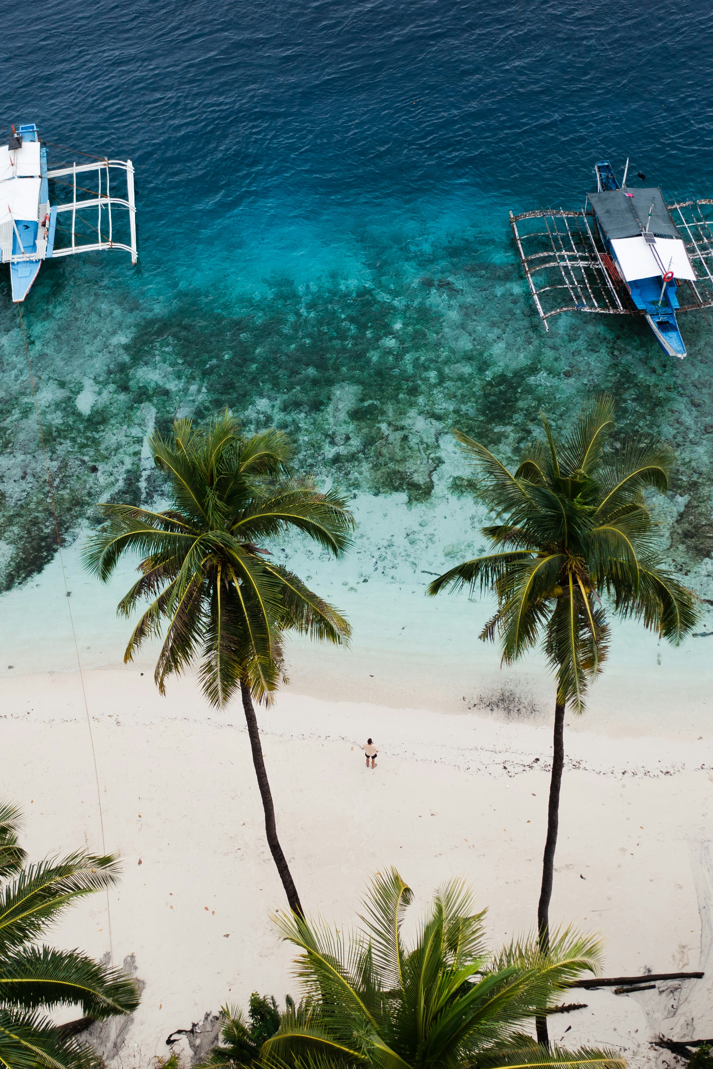 Tropical beach with two boats, clear water, and palm trees.