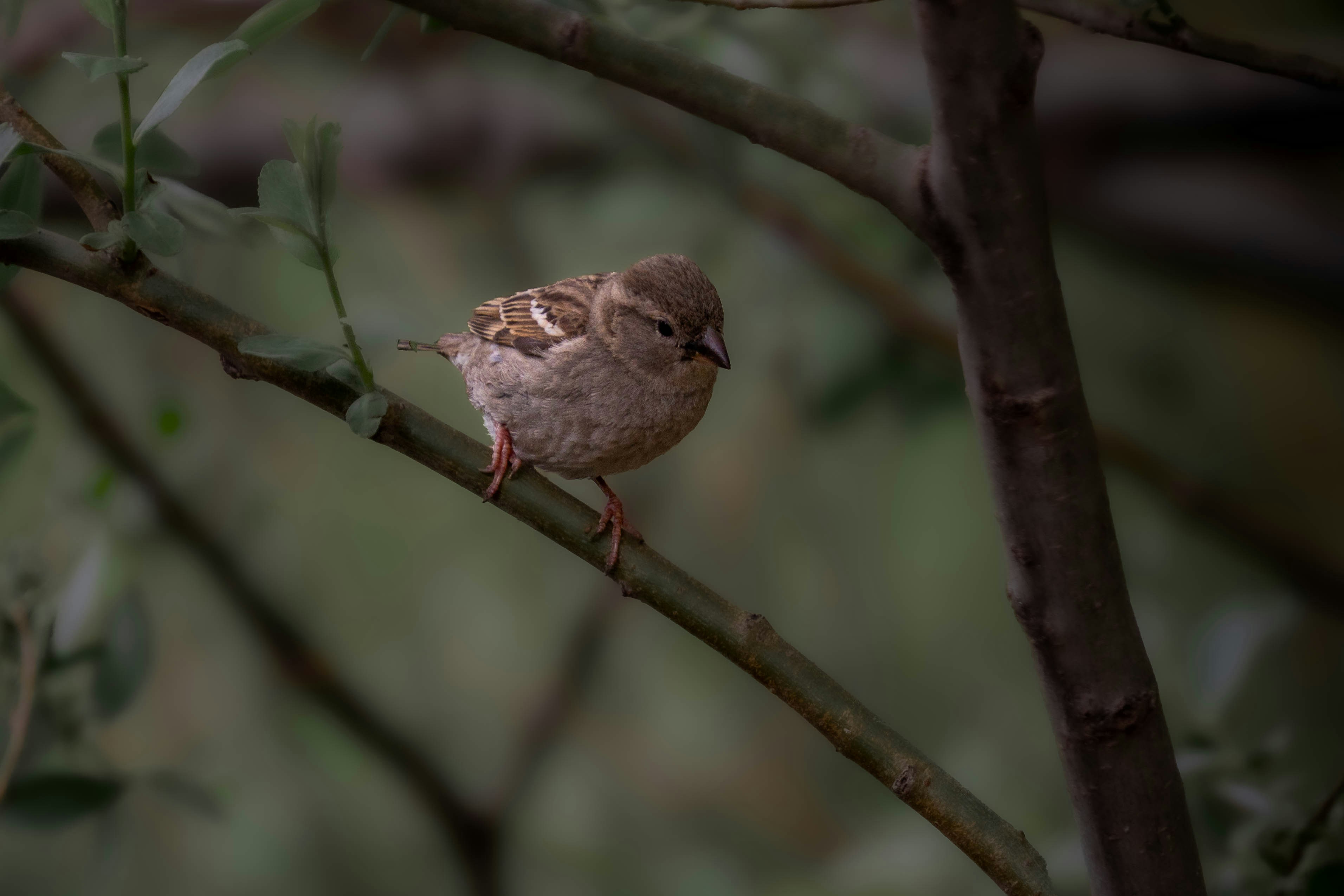 Photo by maviatlas