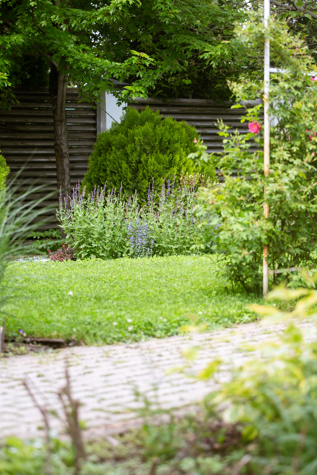 Tuinonderhoud