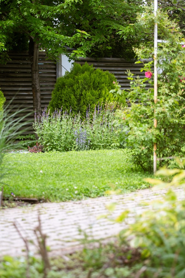 Gartenweg mit Blumenbeeten und Rasen