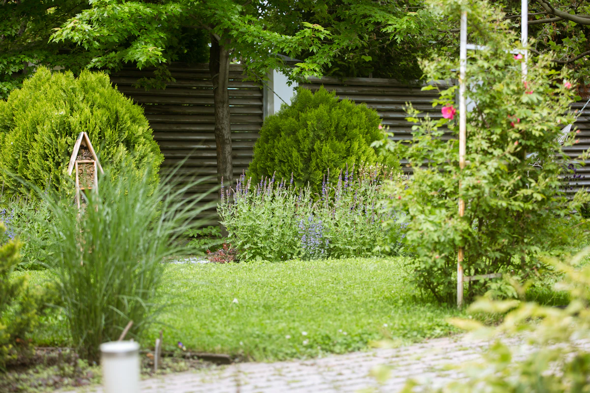 Aménagement paysager résidentiel avec plantations