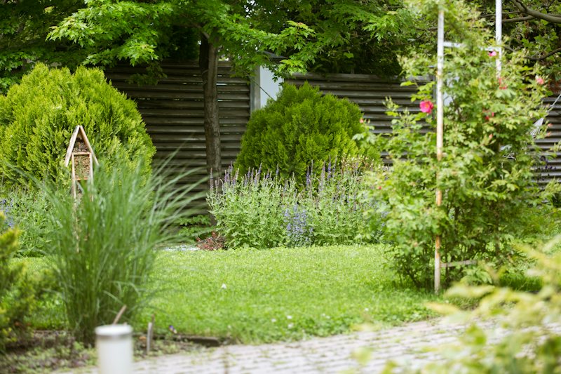 Flower garden