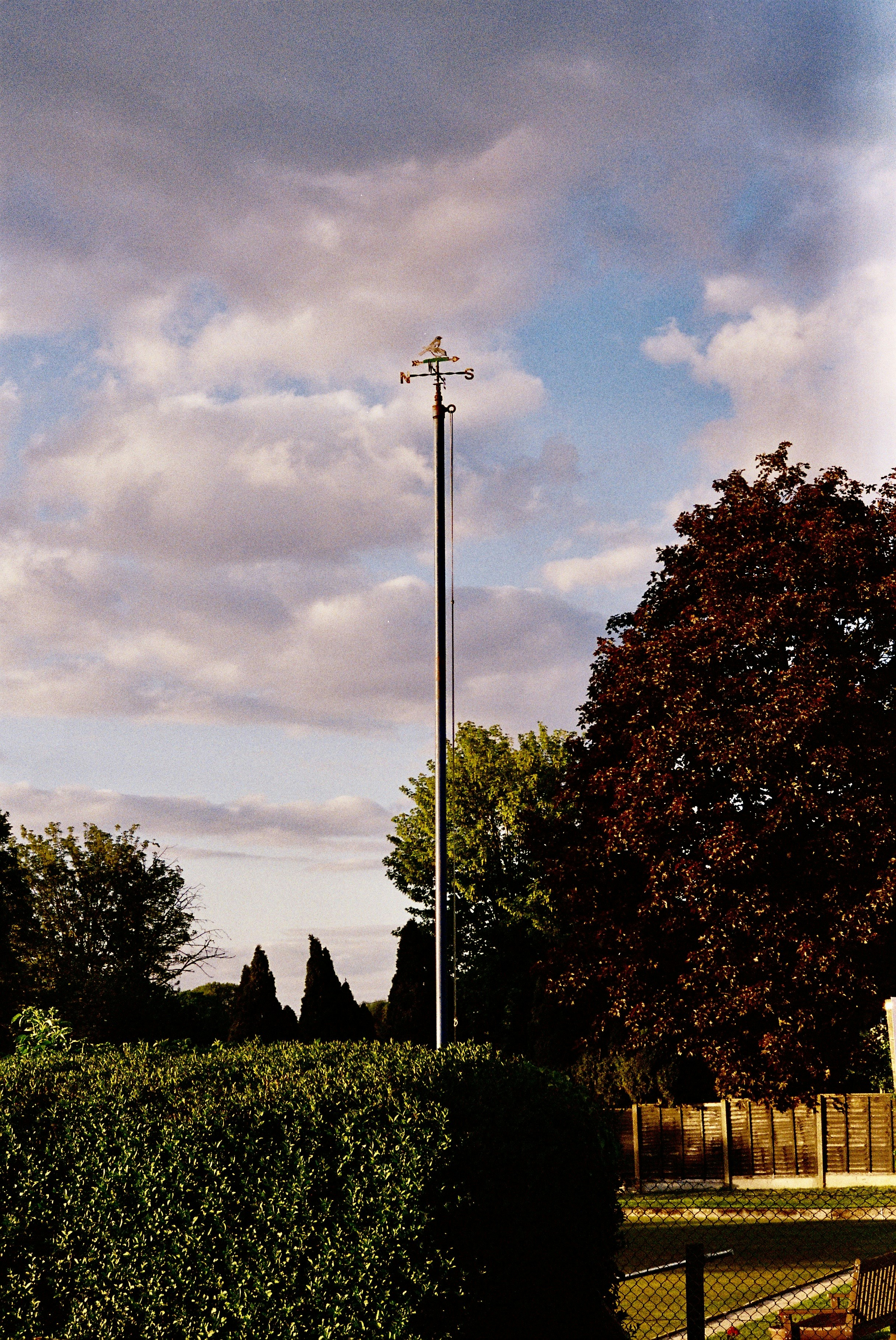 Golden bird weather vane stands above a lush garden.
