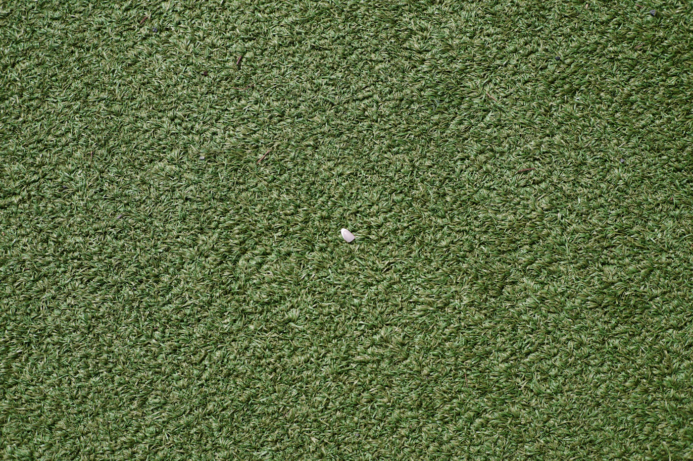 Artificial turf lawn in a backyard