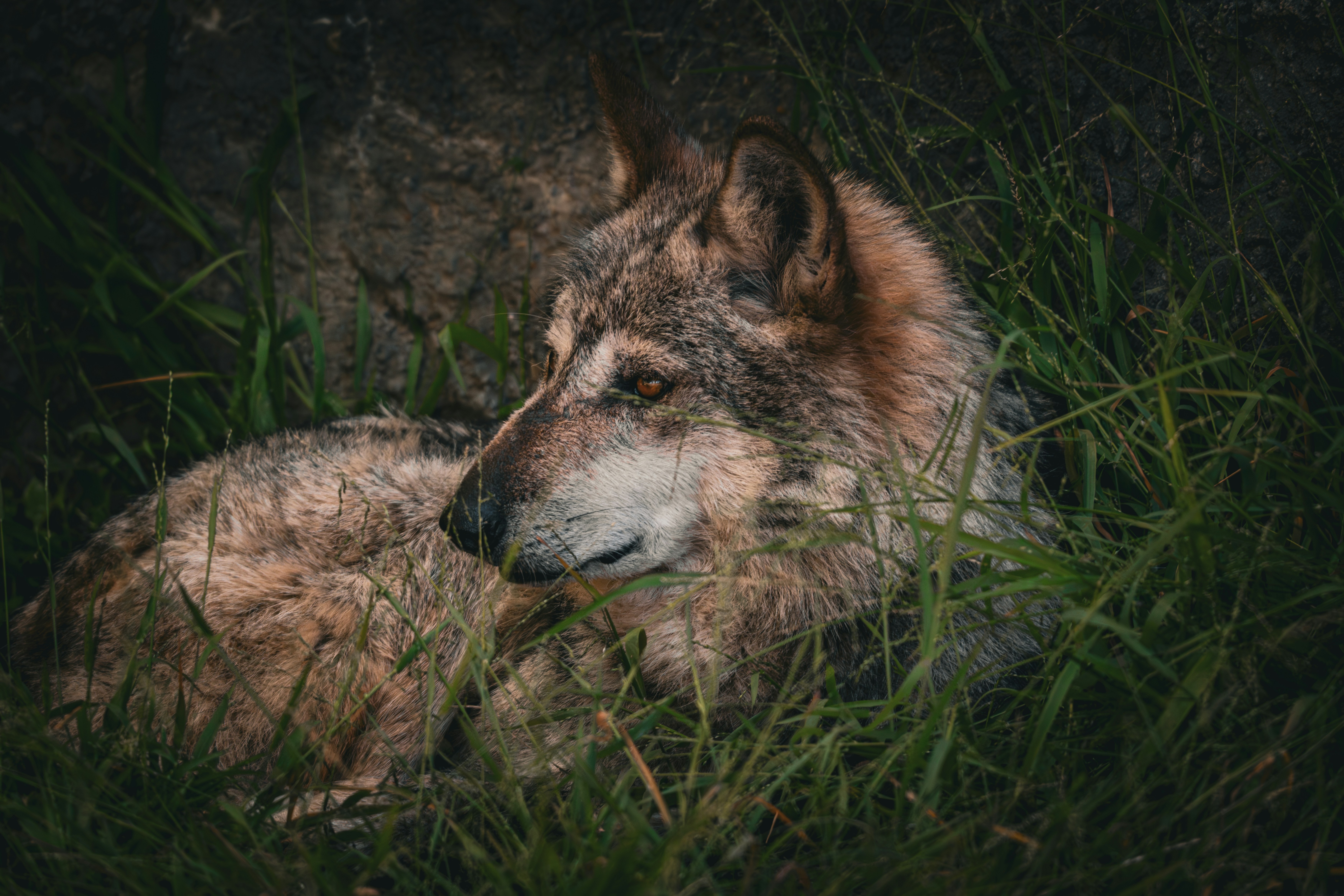 Photo by samtakespictures