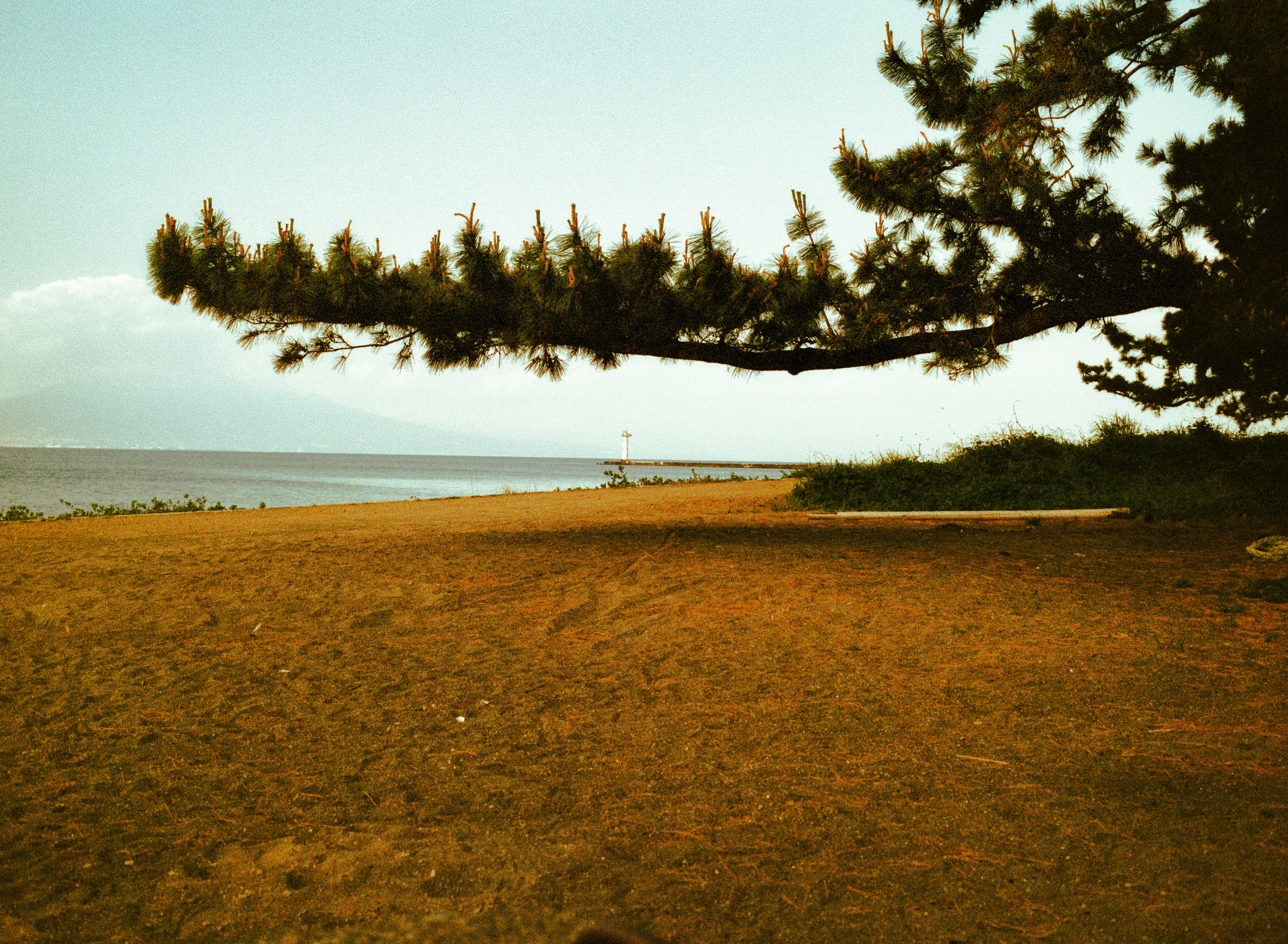 Tropical beach