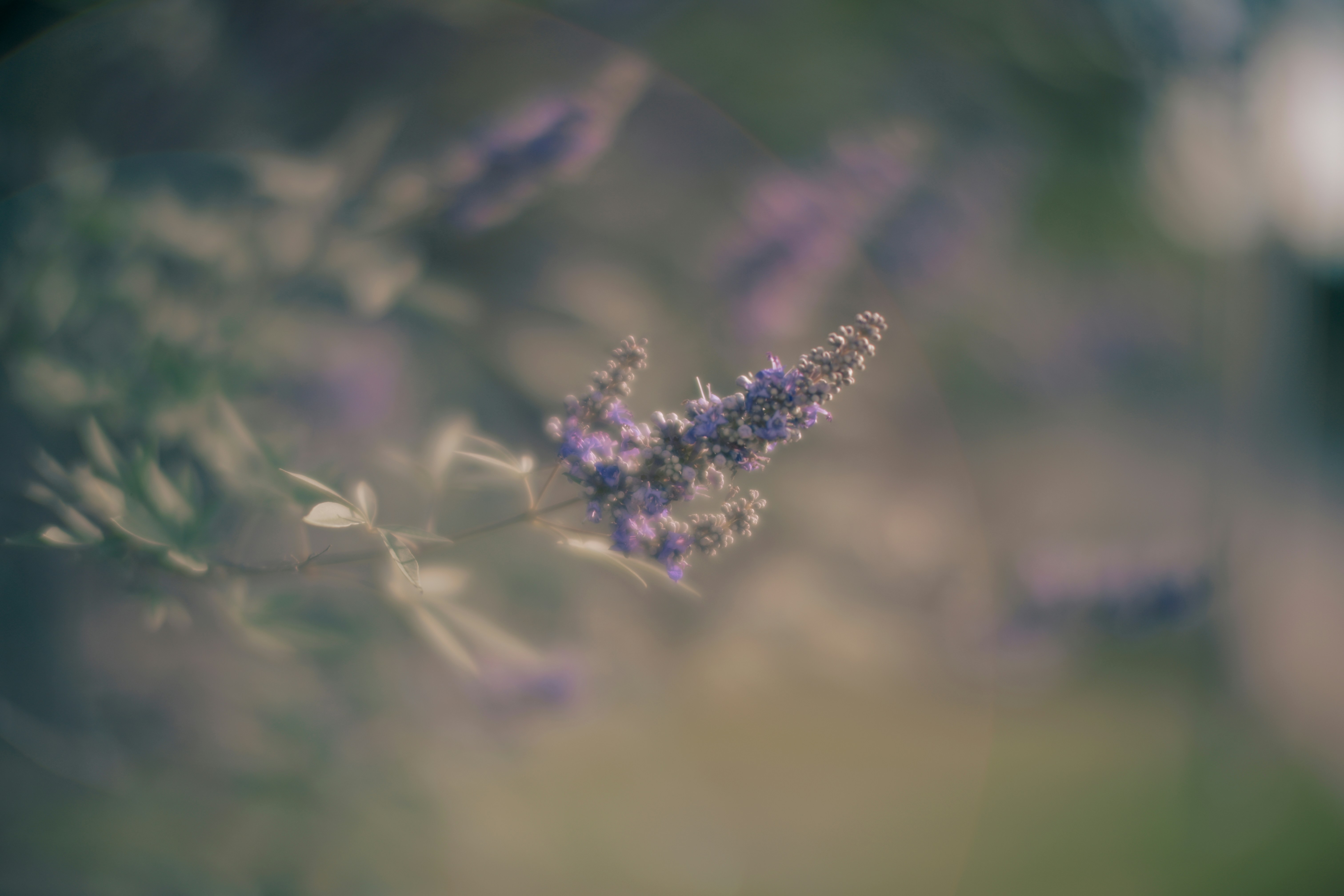 Photo by co