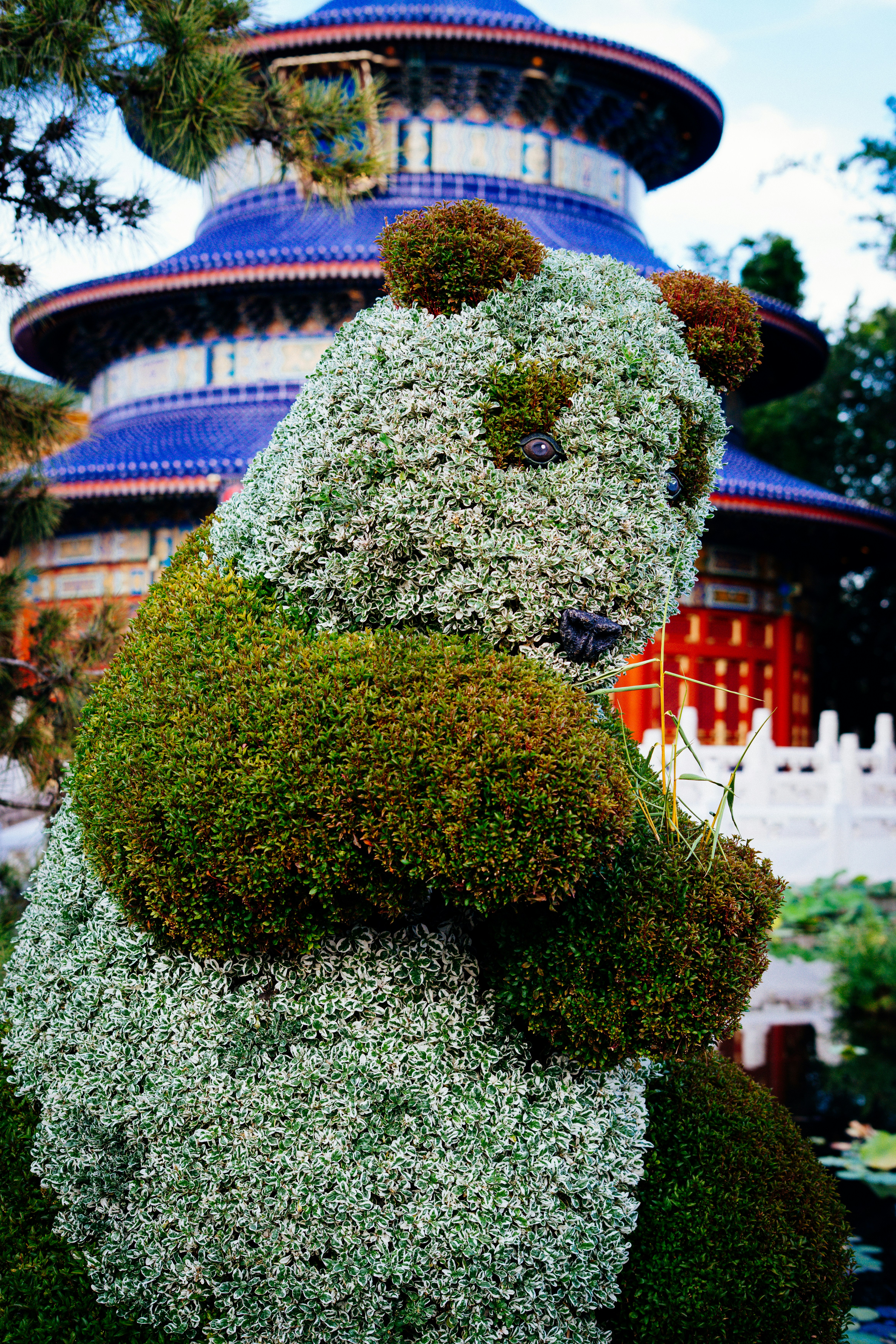 Sebuah topiari panda besar di depan pagoda beratap biru.