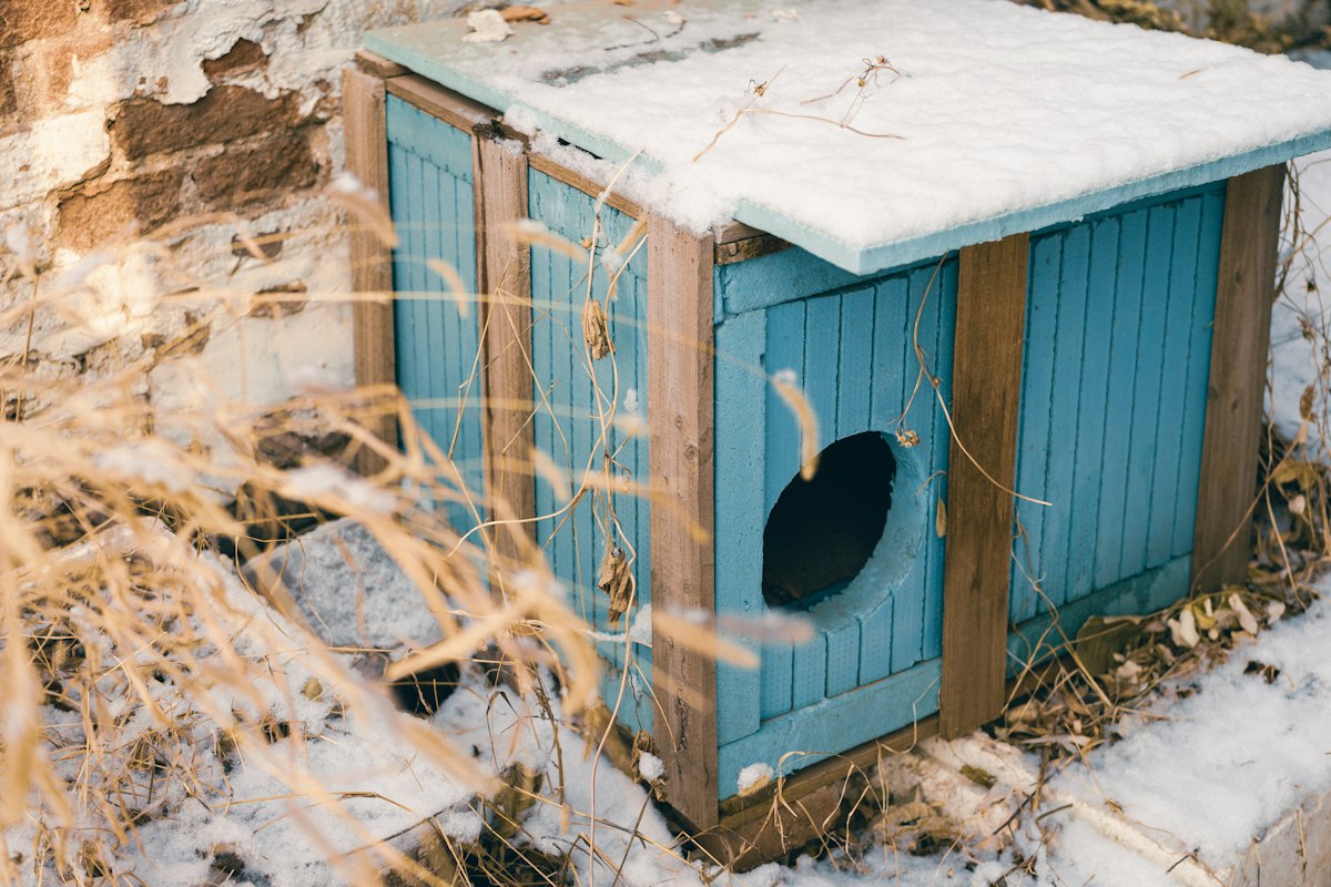 Wooden dog house covered in snow - outdoor heated dog pad for dog house