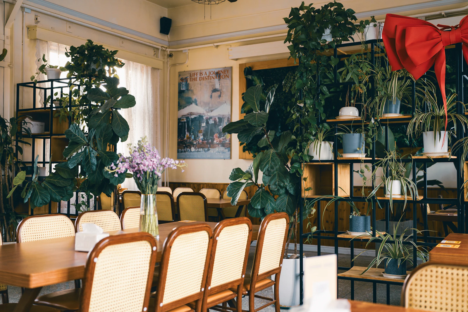 A bright room of chairs and plants, set up and waiting for people to arrive