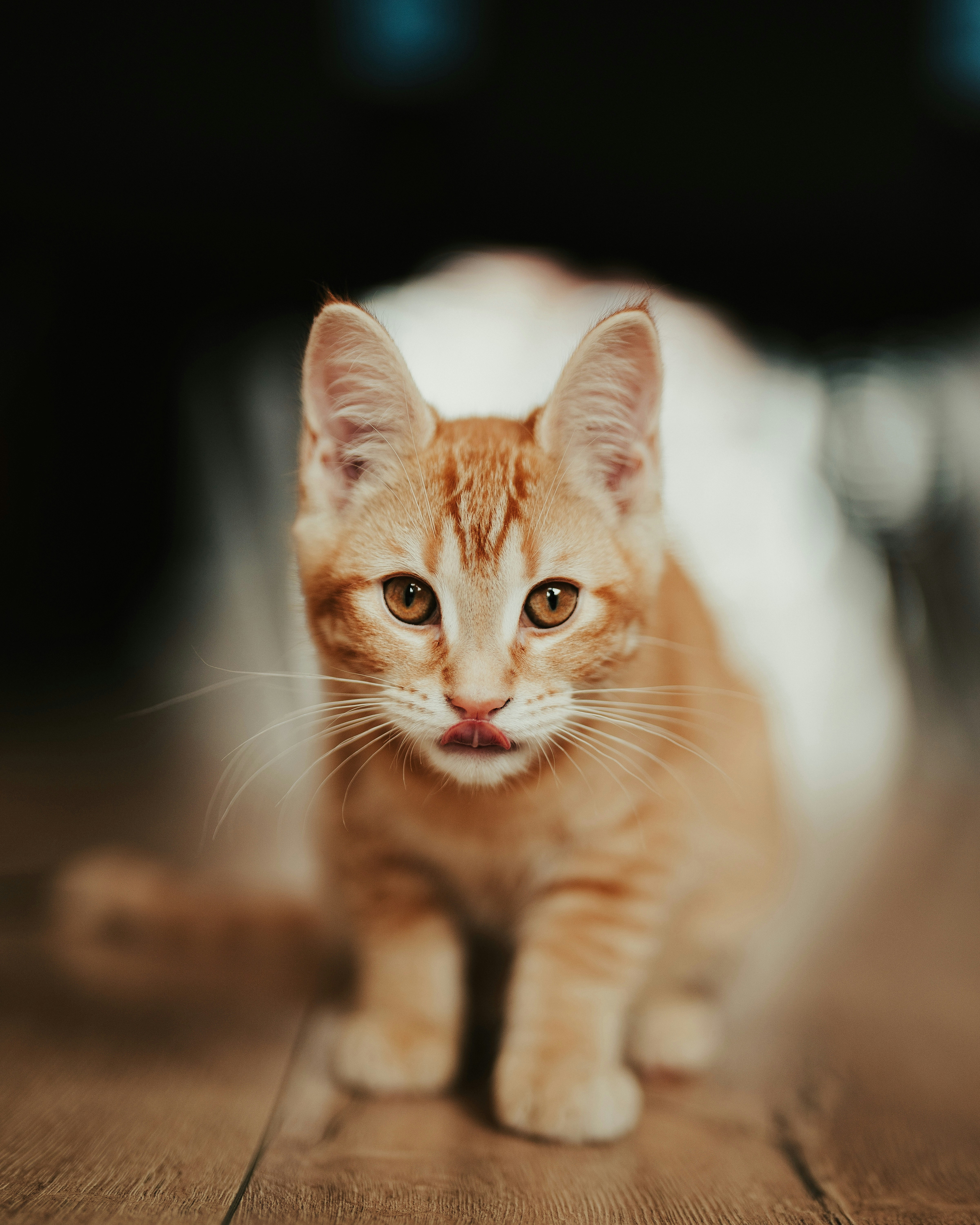 Photo by sinusfiction
