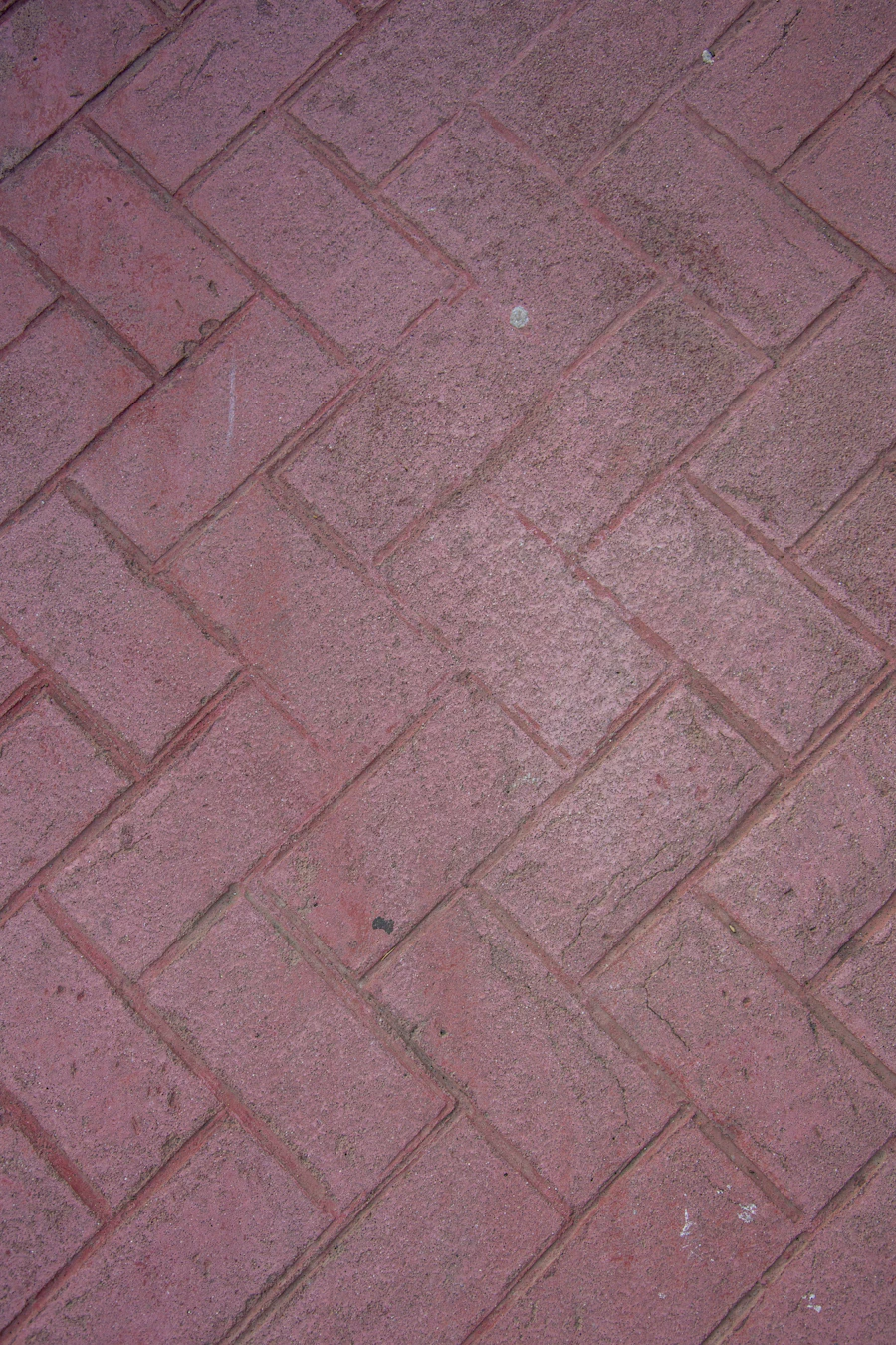 Cut-stone patio pathway