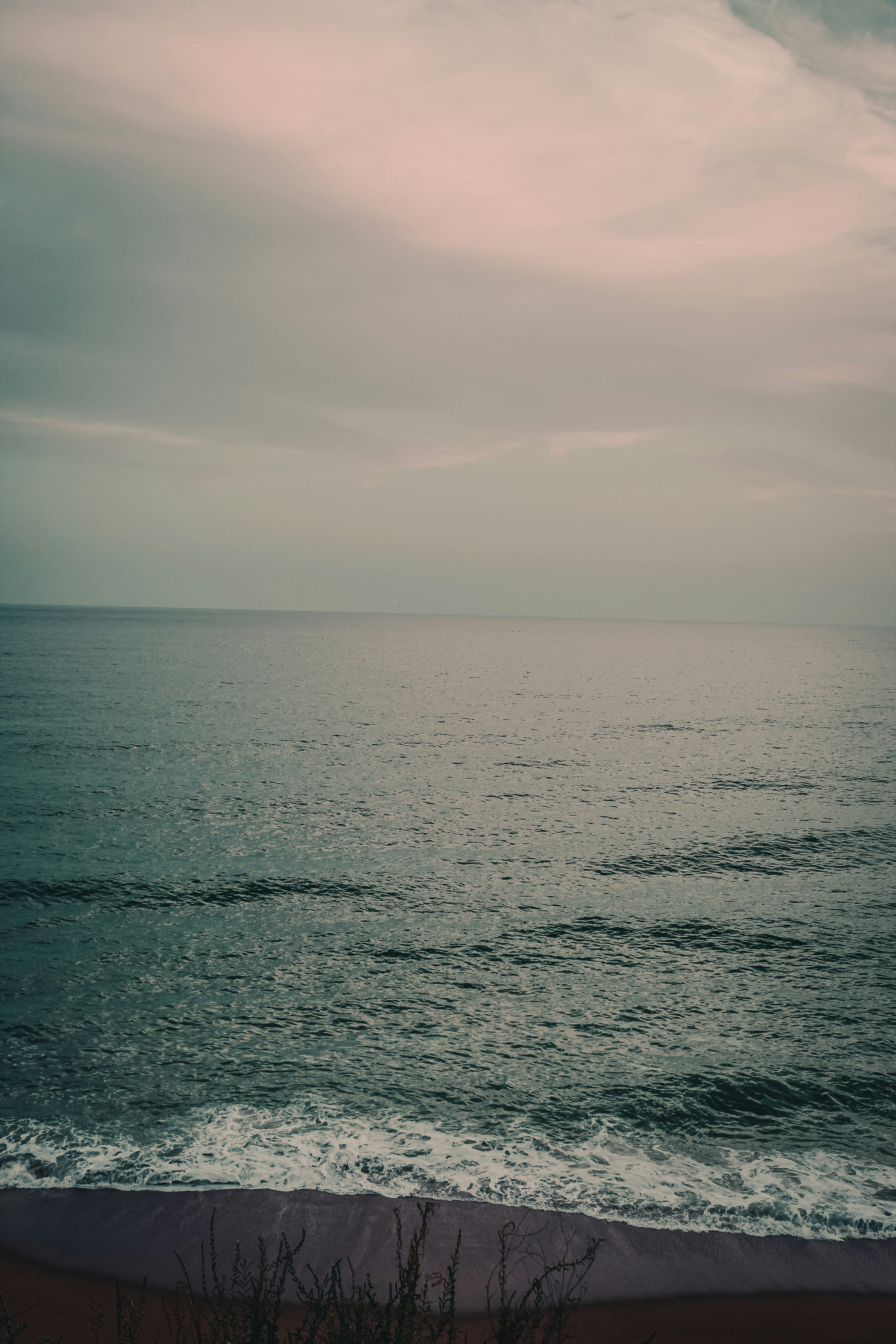 Photo by padi26