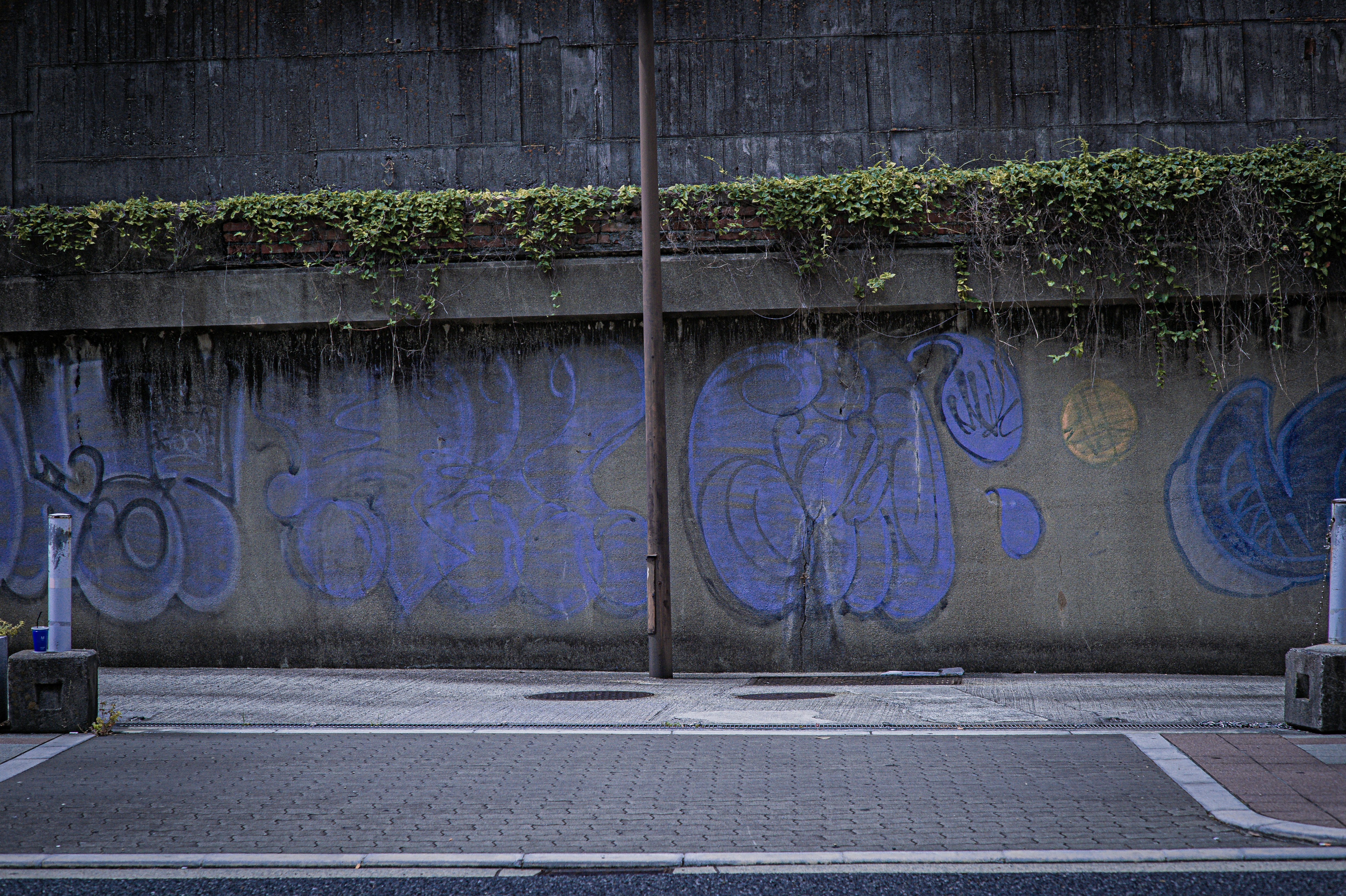Photo by isoten