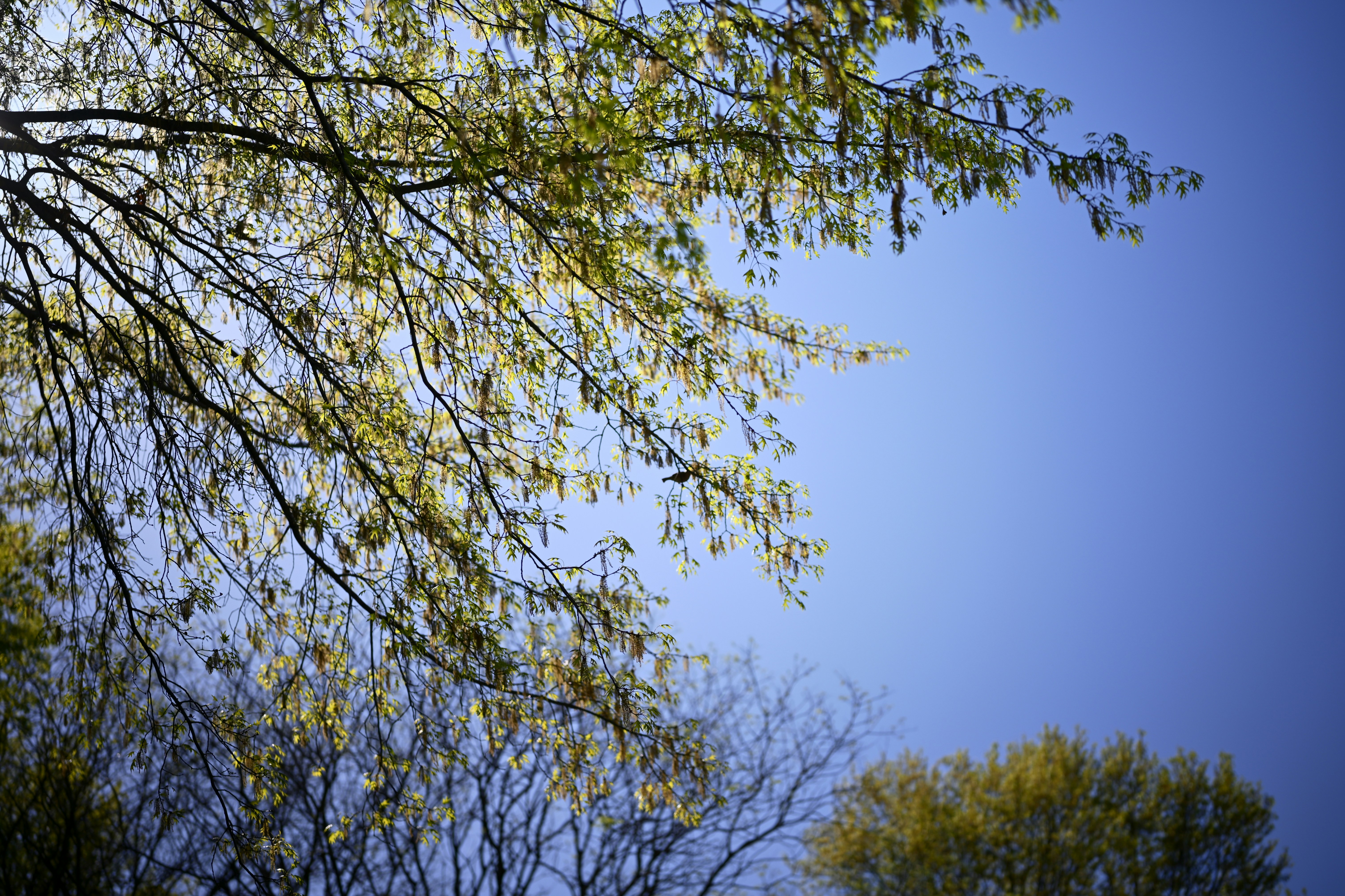 Photo by yi2026