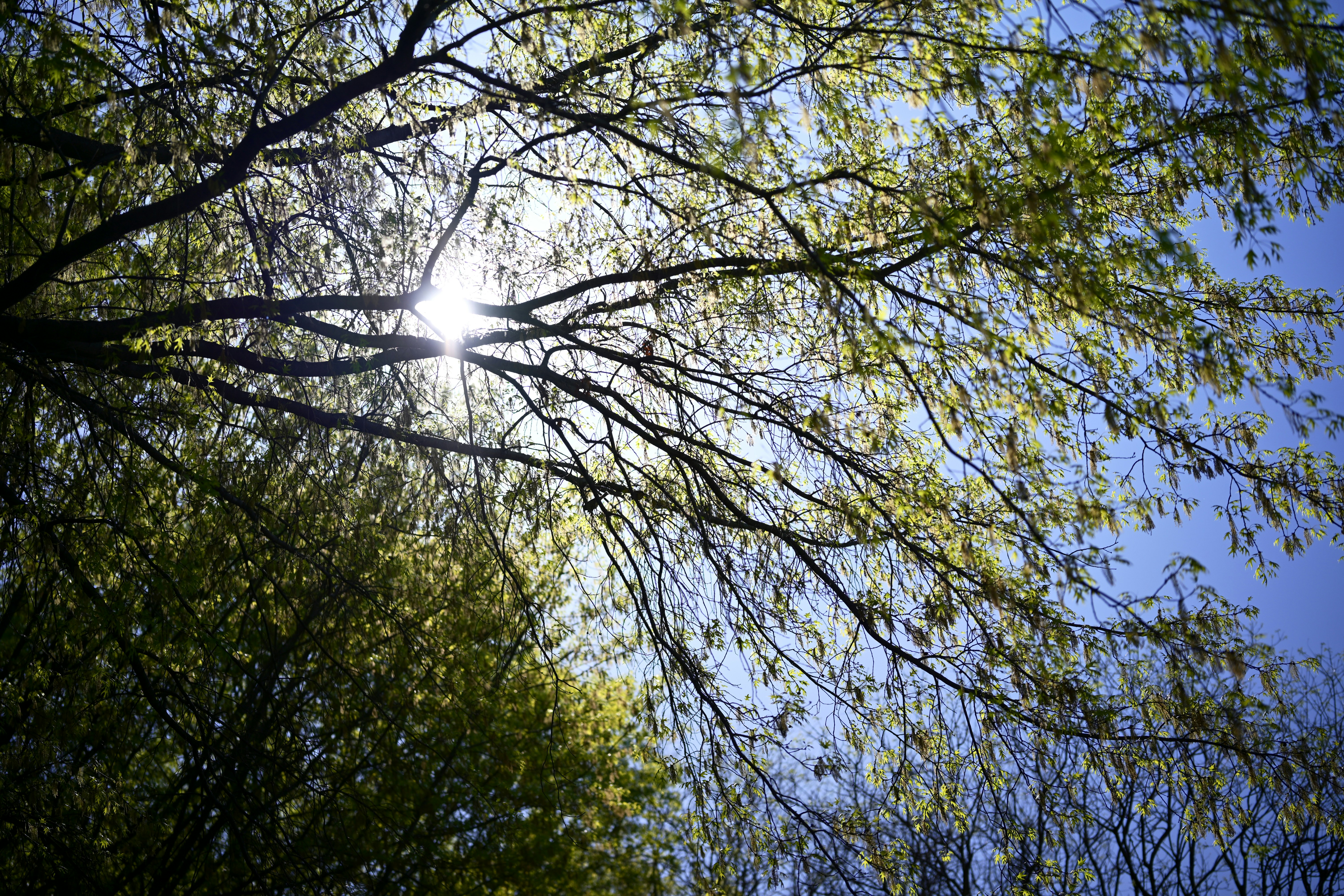 Photo by yi2026