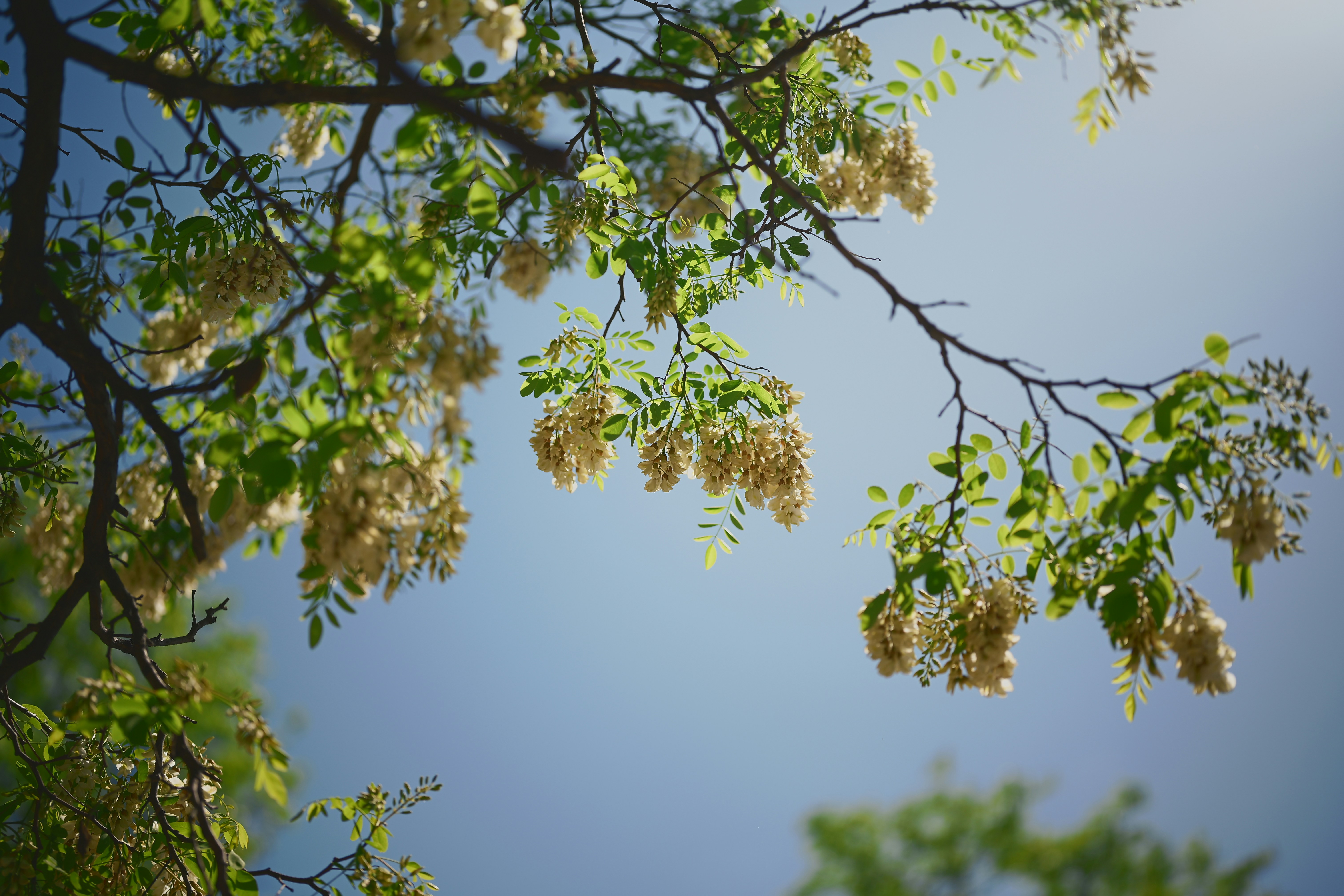 Photo by yi2026