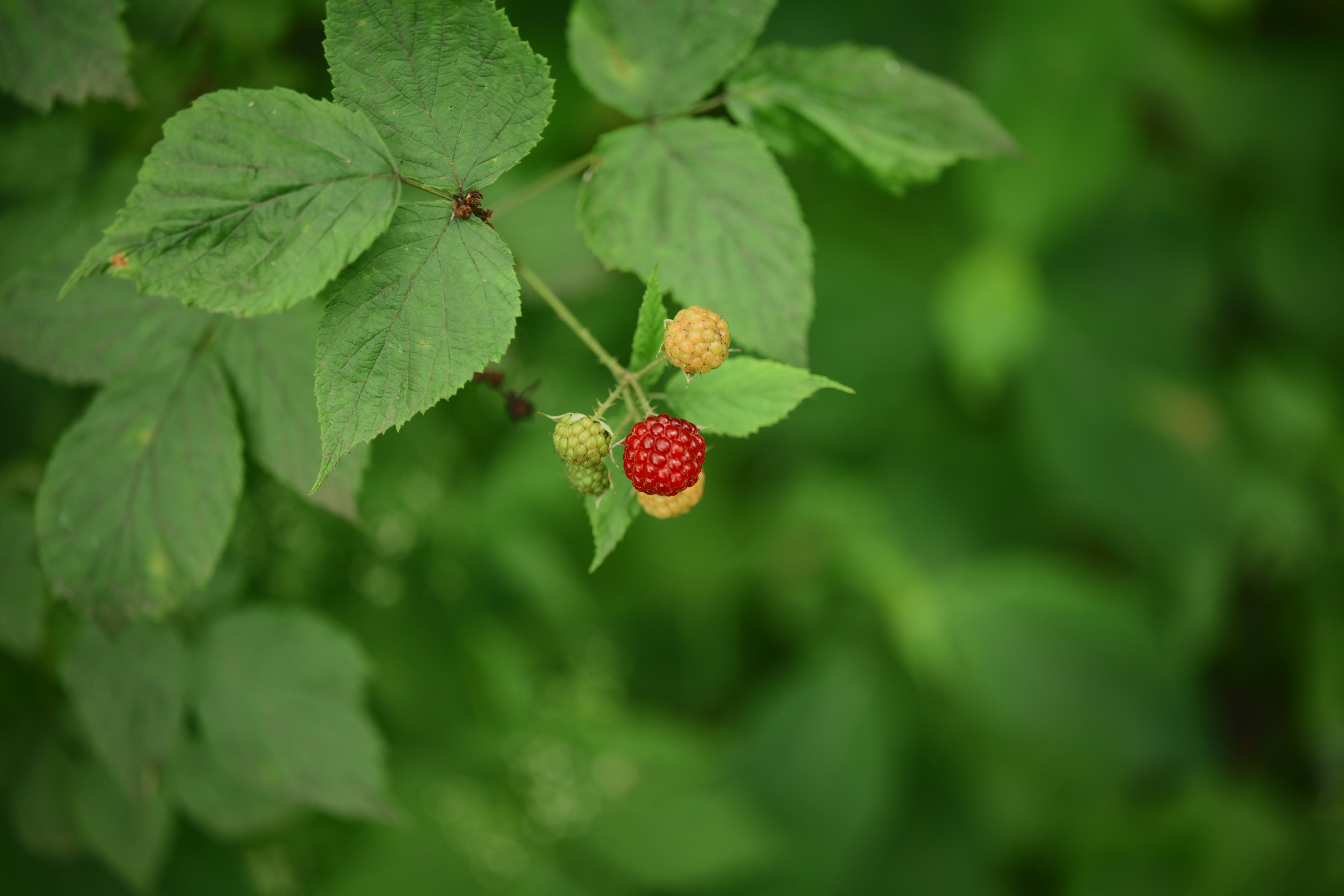 Photo by yi2026