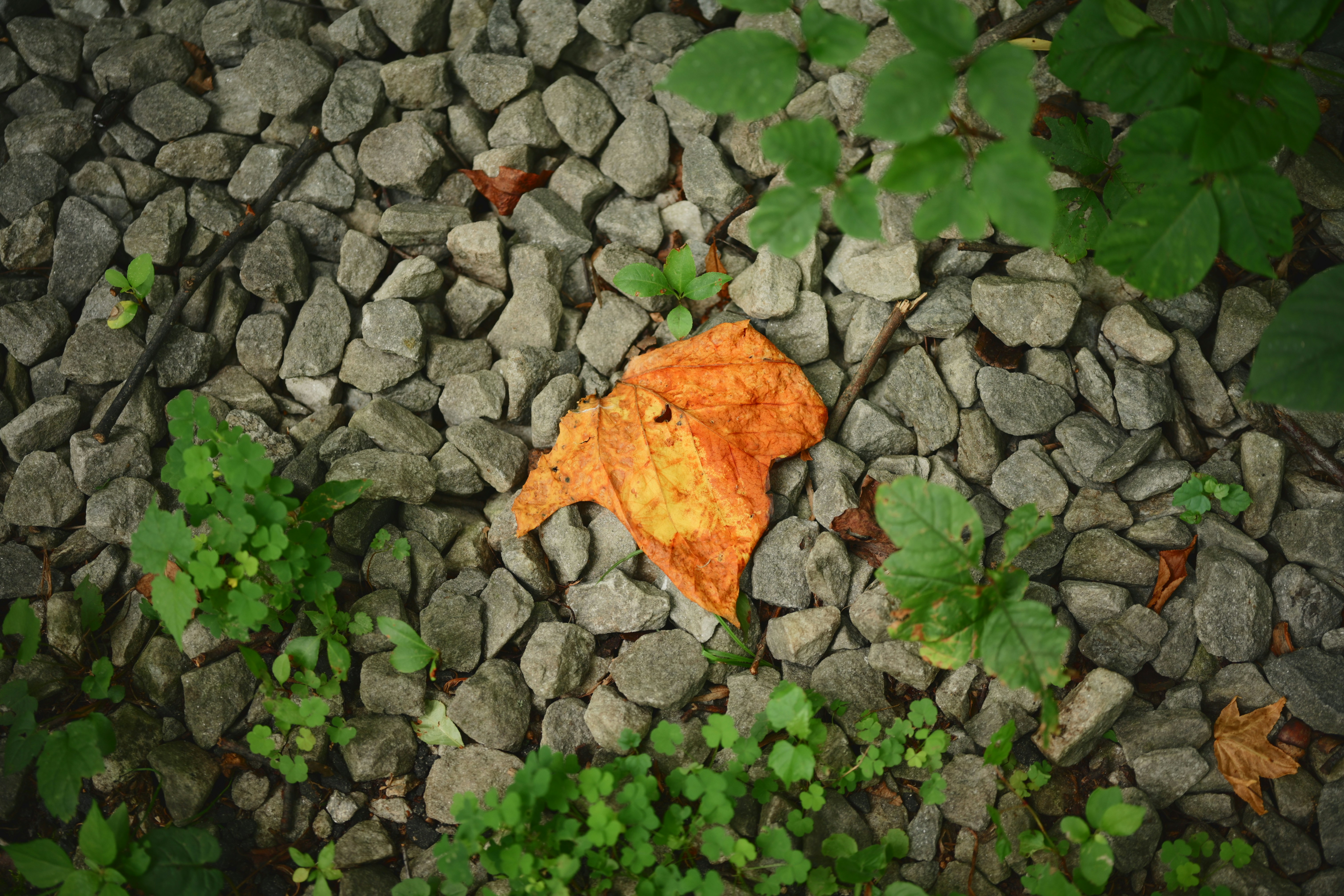Photo by yi2026