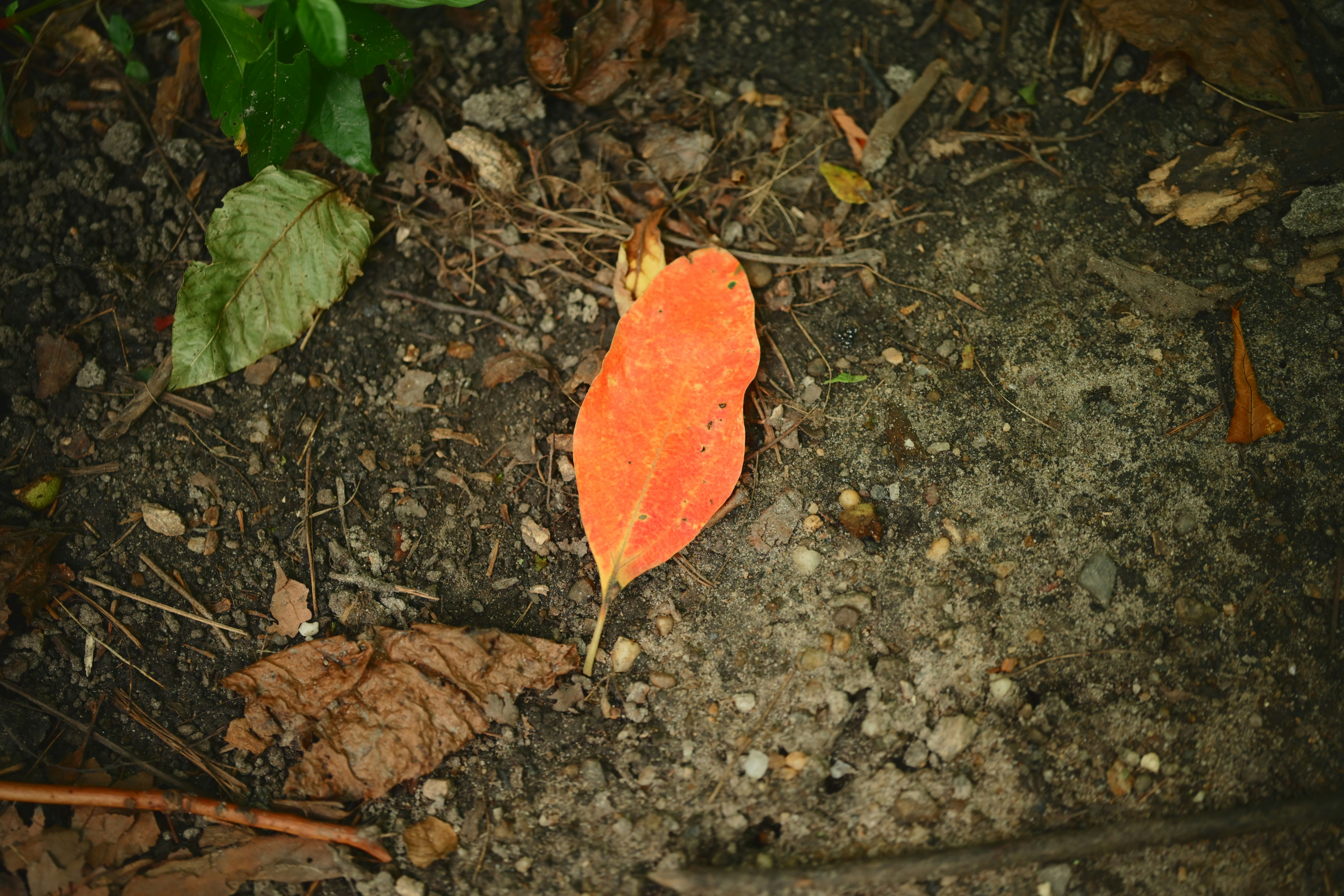 Photo by yi2026