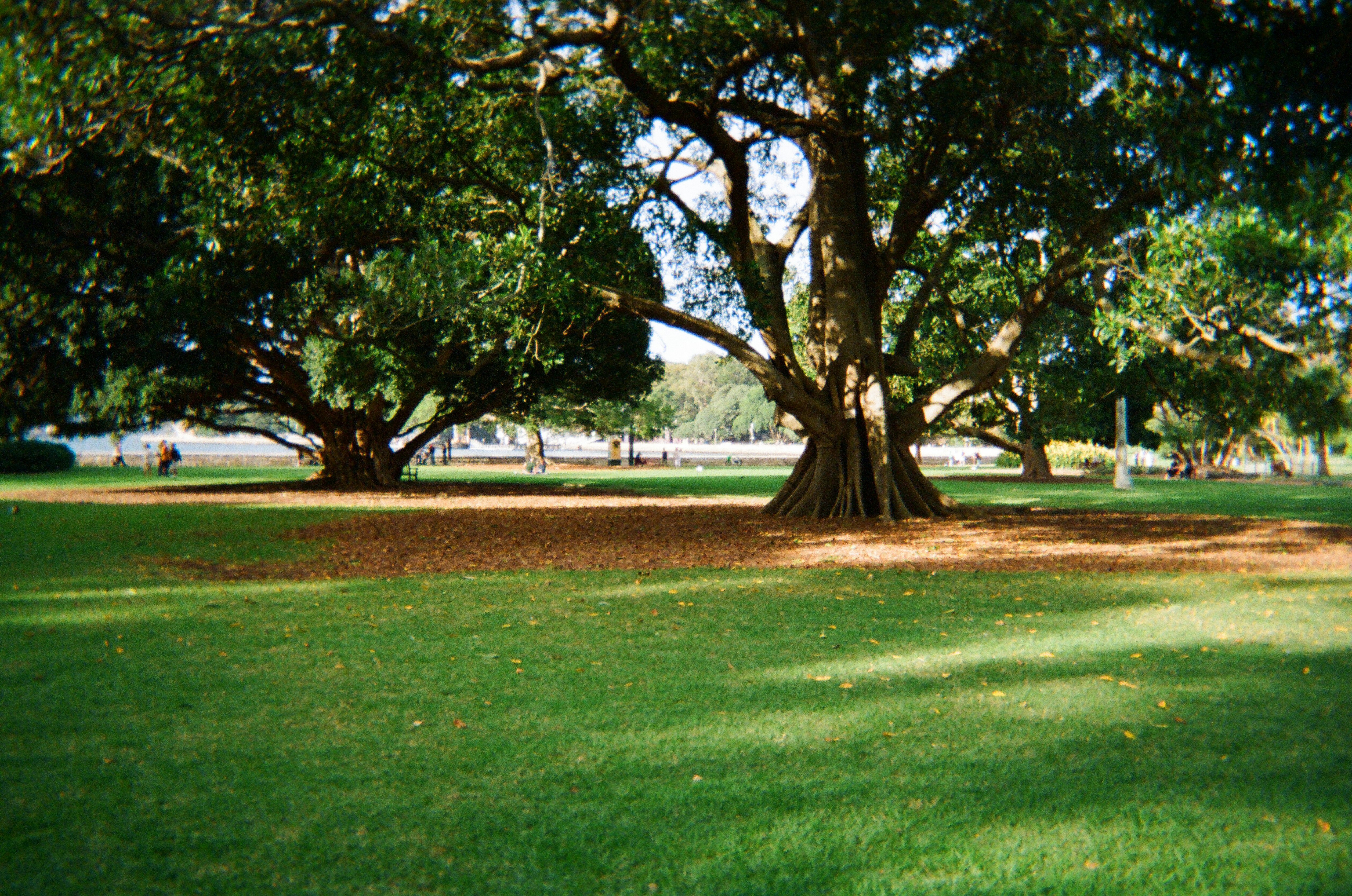 Adams Reserve